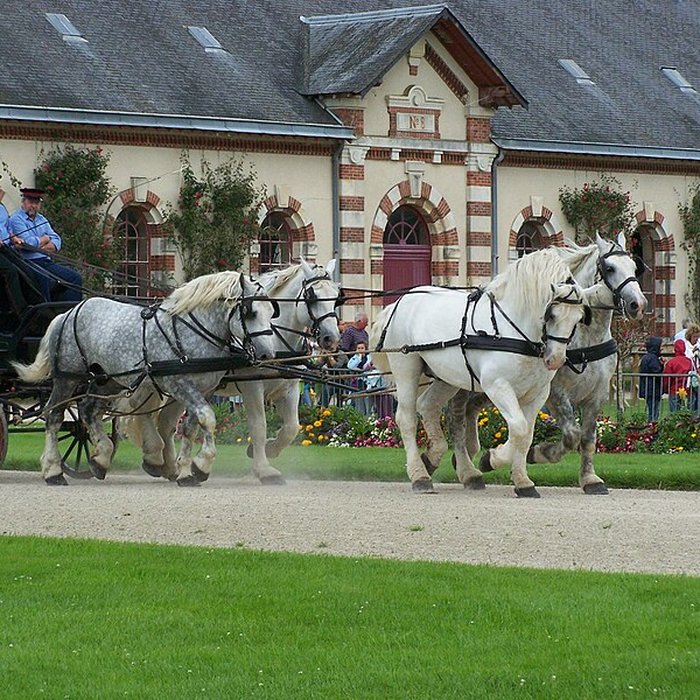 Photo de Haras national de Saint-Lô