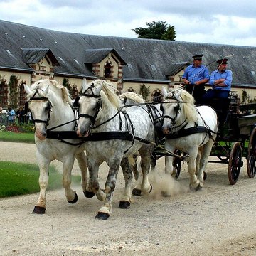 Haras national de Saint-Lô
