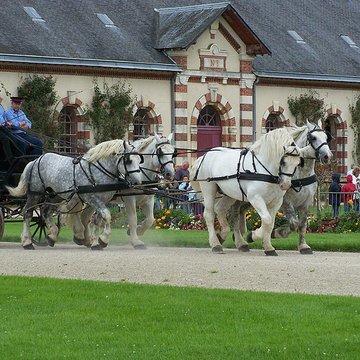 Haras national de Saint-Lô