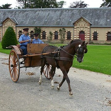 Haras national de Saint-Lô