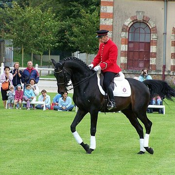 Haras national de Saint-Lô