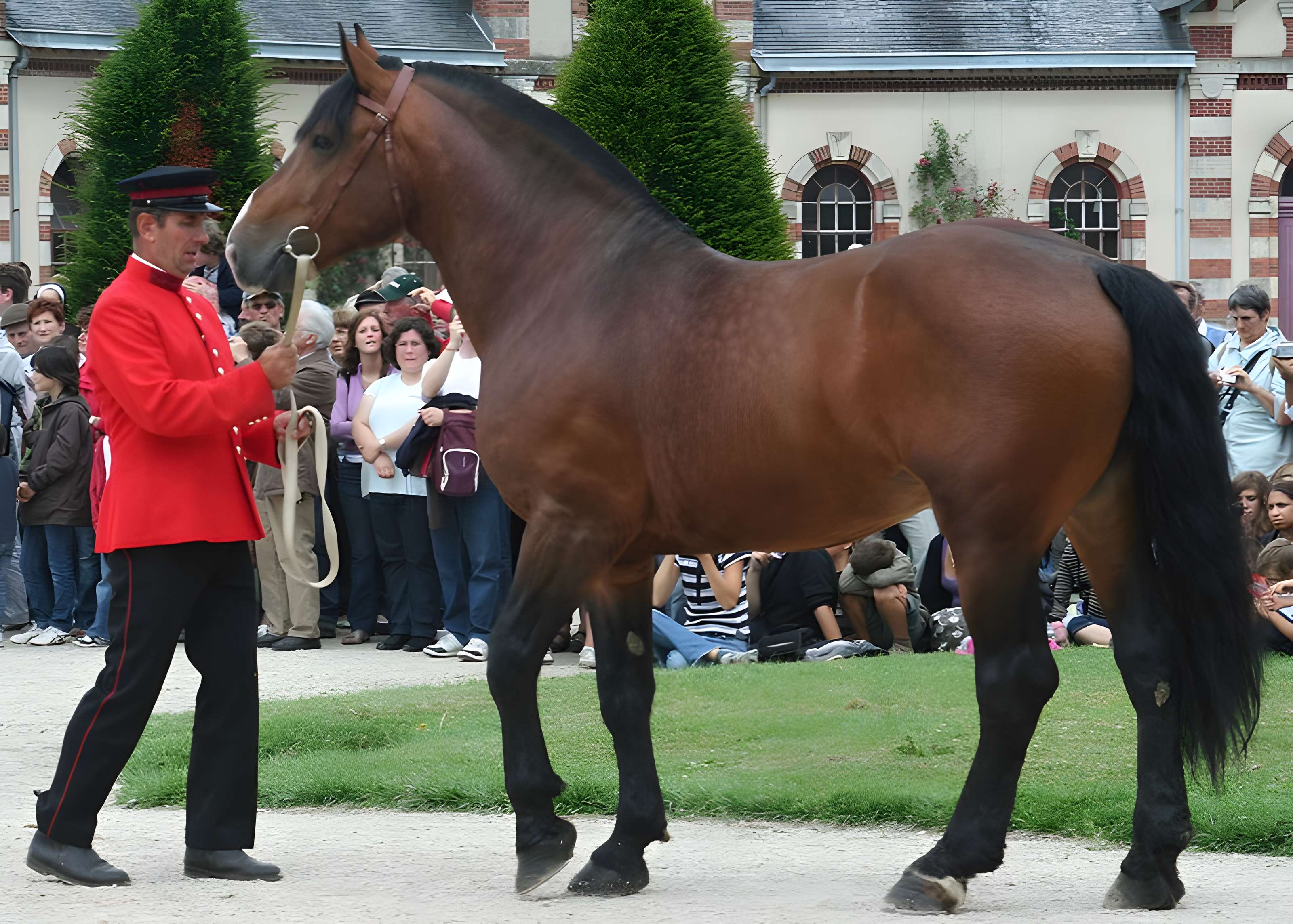 Haras national de Saint-Lô