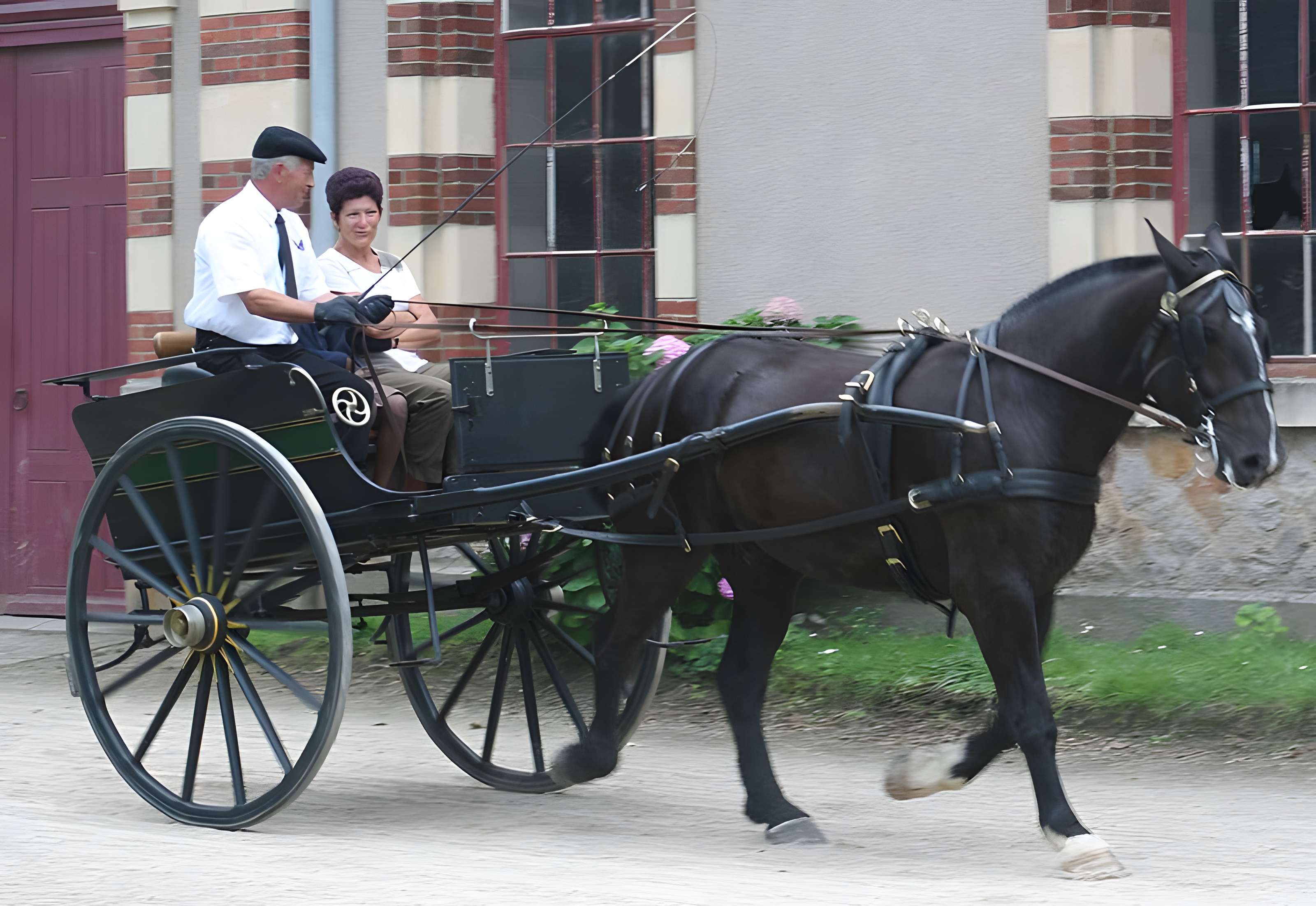 Haras national de Saint-Lô