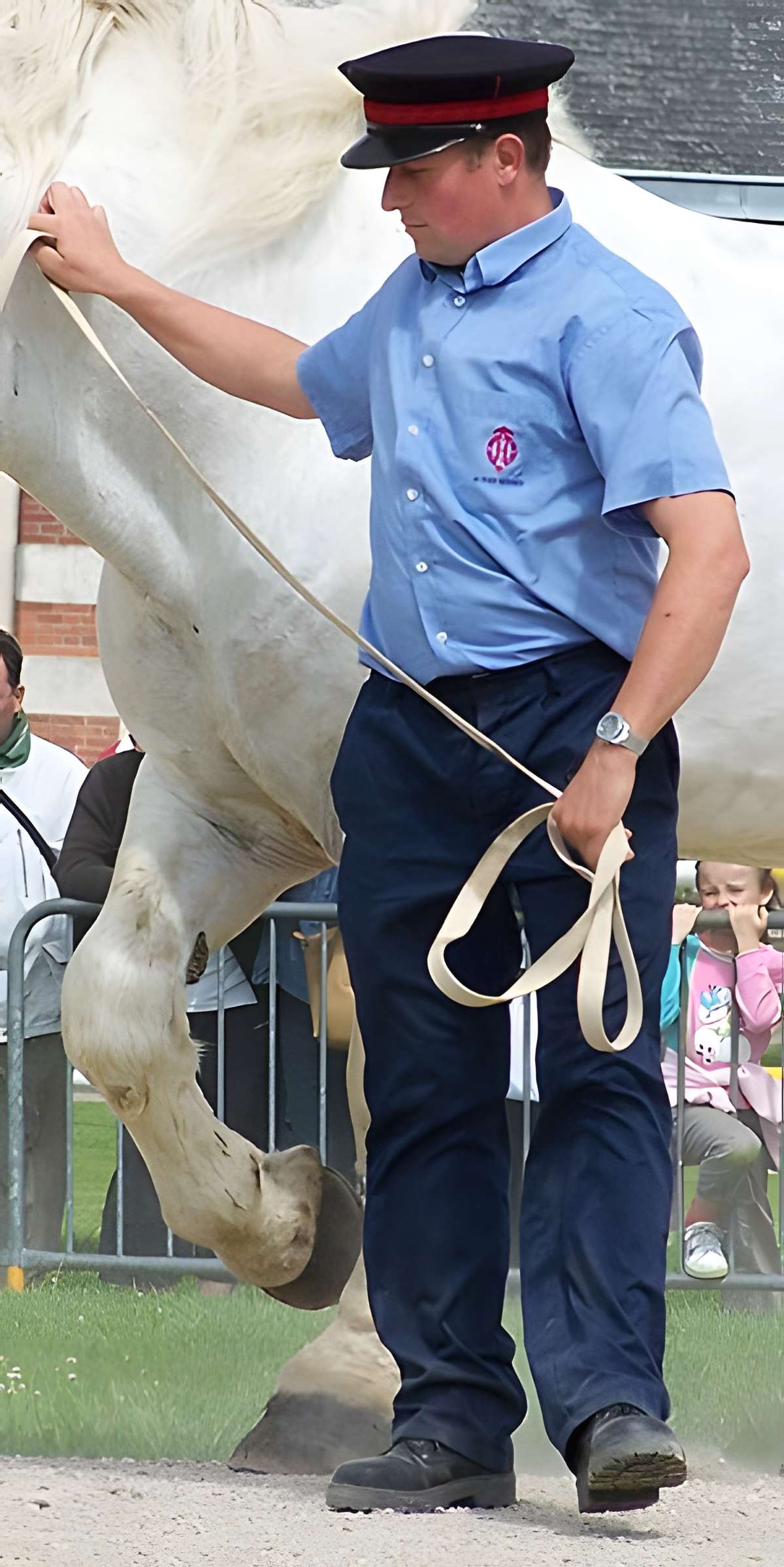 Haras national de Saint-Lô