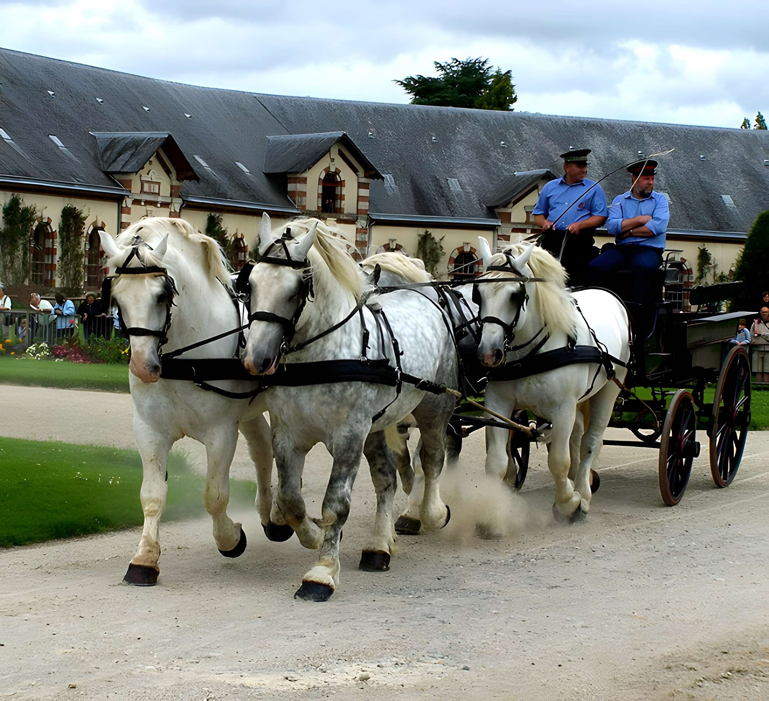 Haras national de Saint-Lô