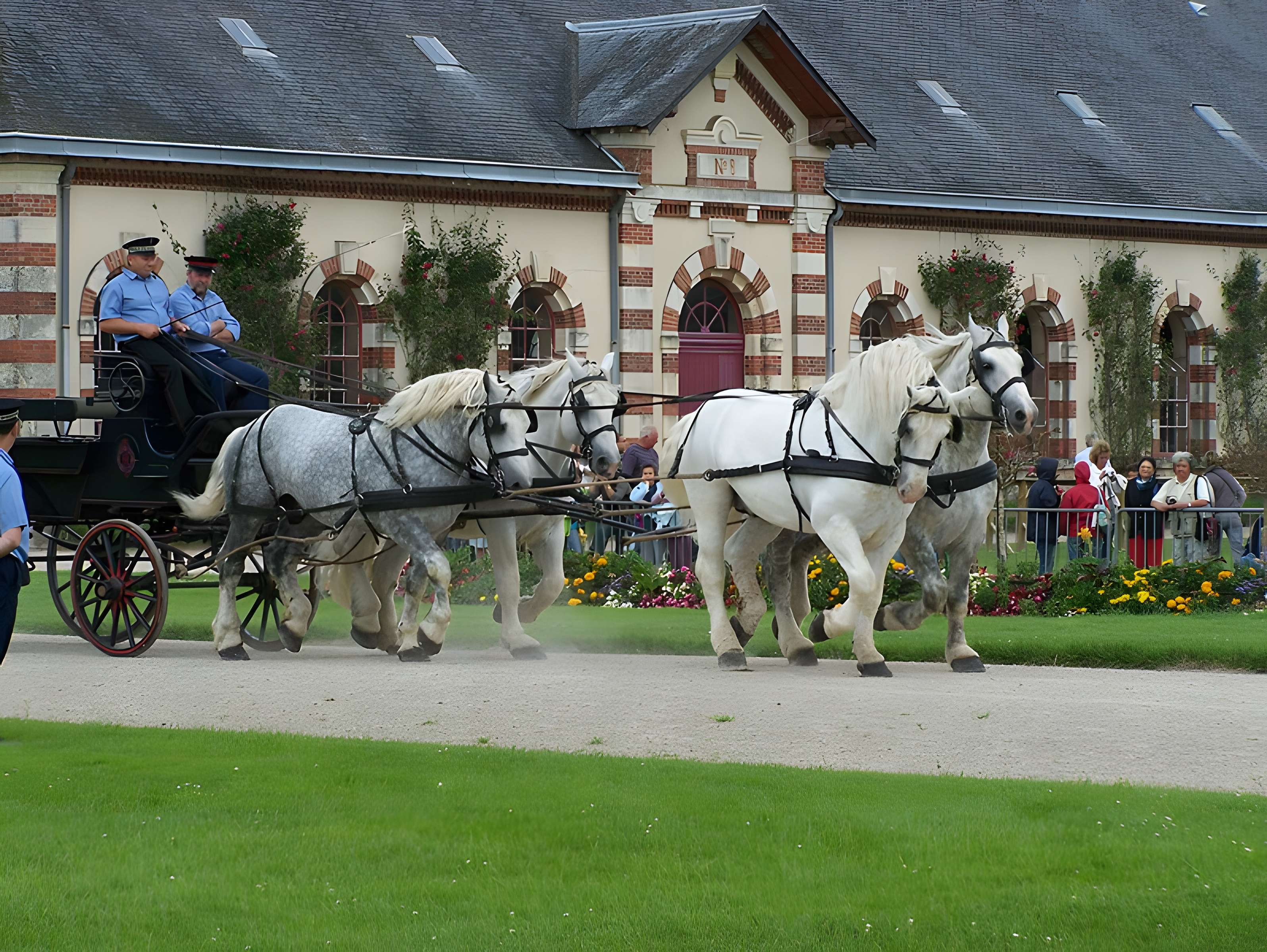 Haras national de Saint-Lô