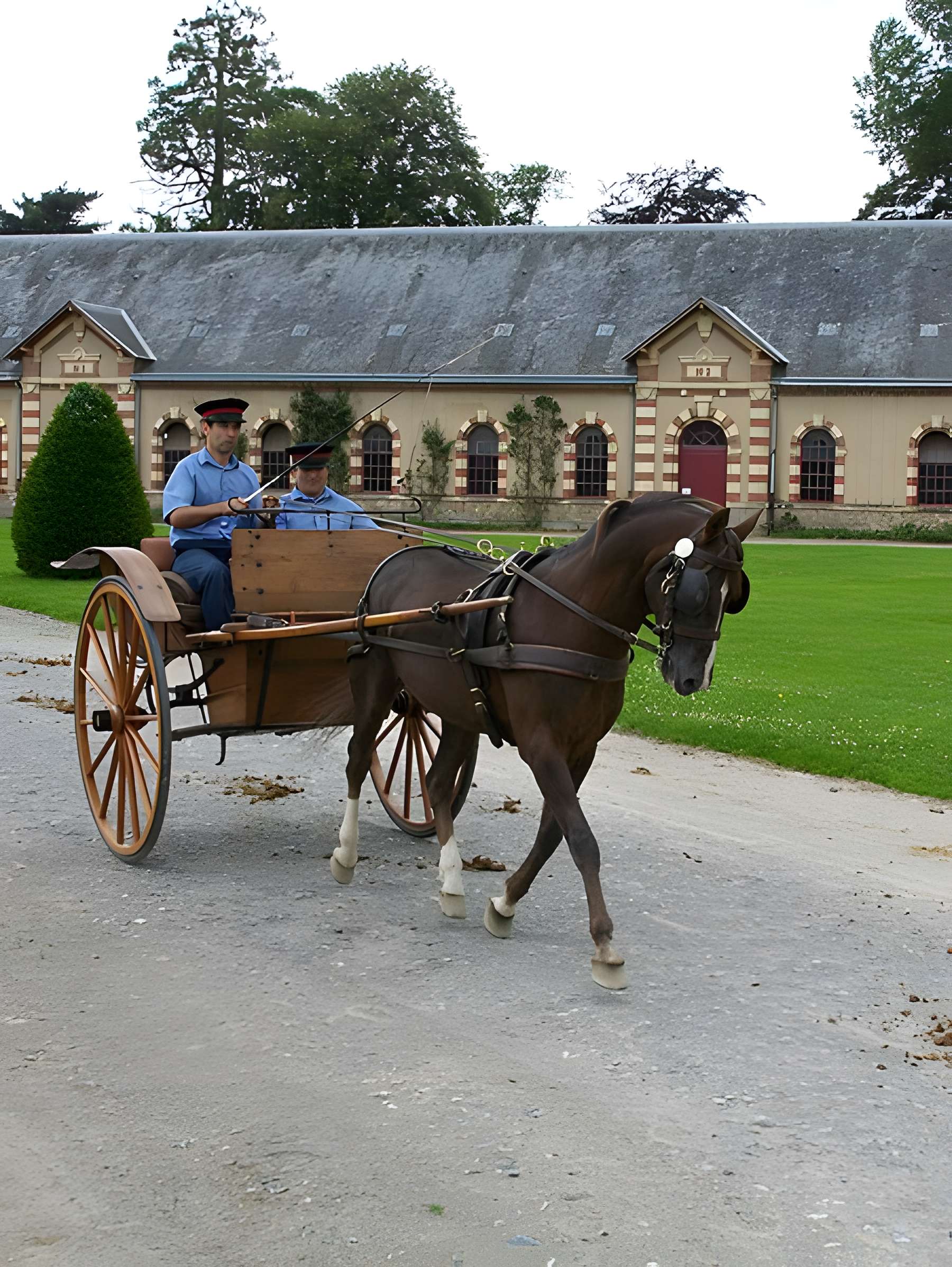 Haras national de Saint-Lô