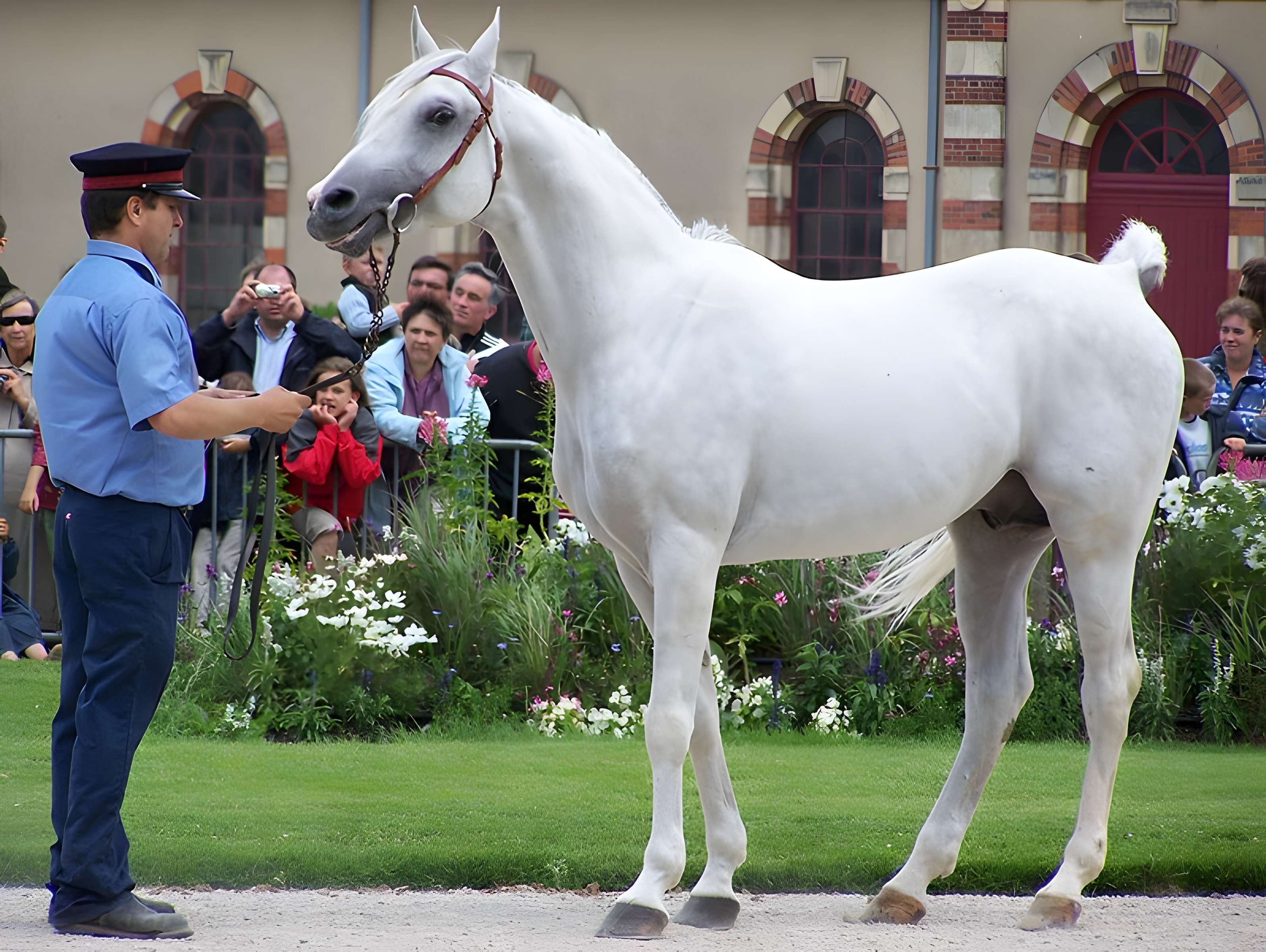 Haras national de Saint-Lô
