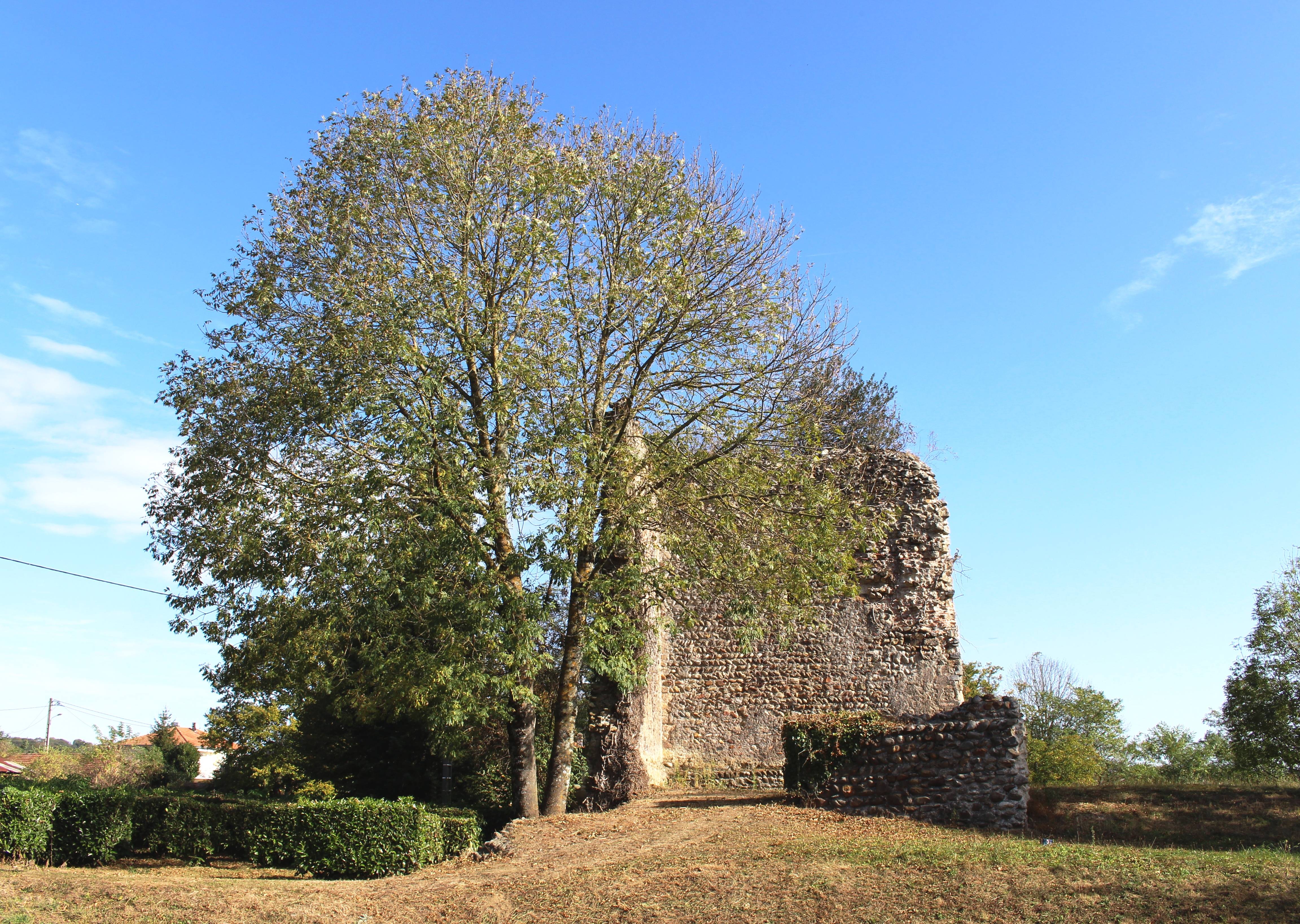 Photo de Château de La Barthe