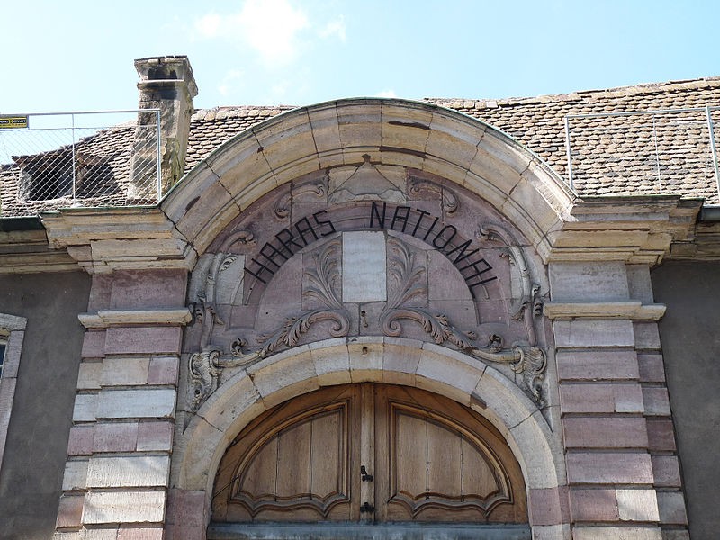 Photo de Haras national de Strasbourg