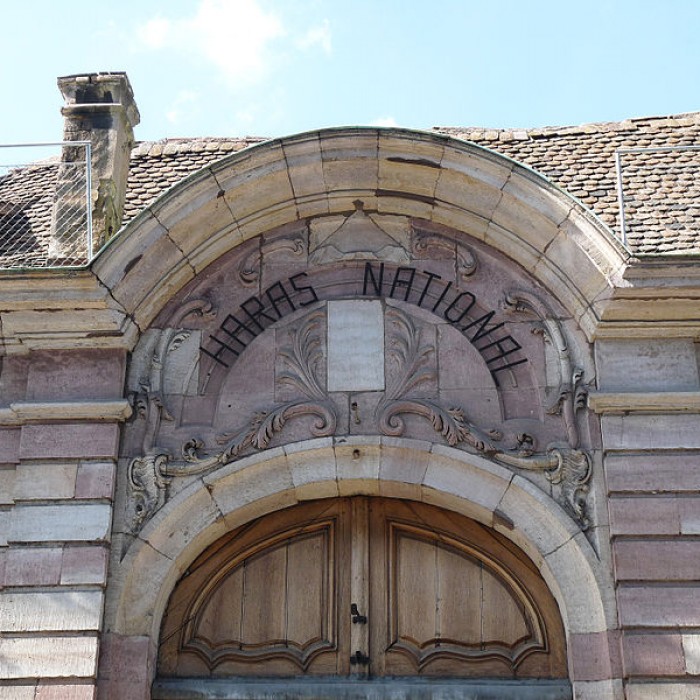 Photo de Haras national de Strasbourg