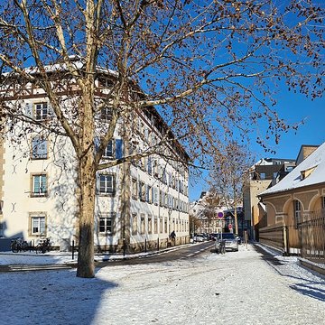 Haras national de Strasbourg