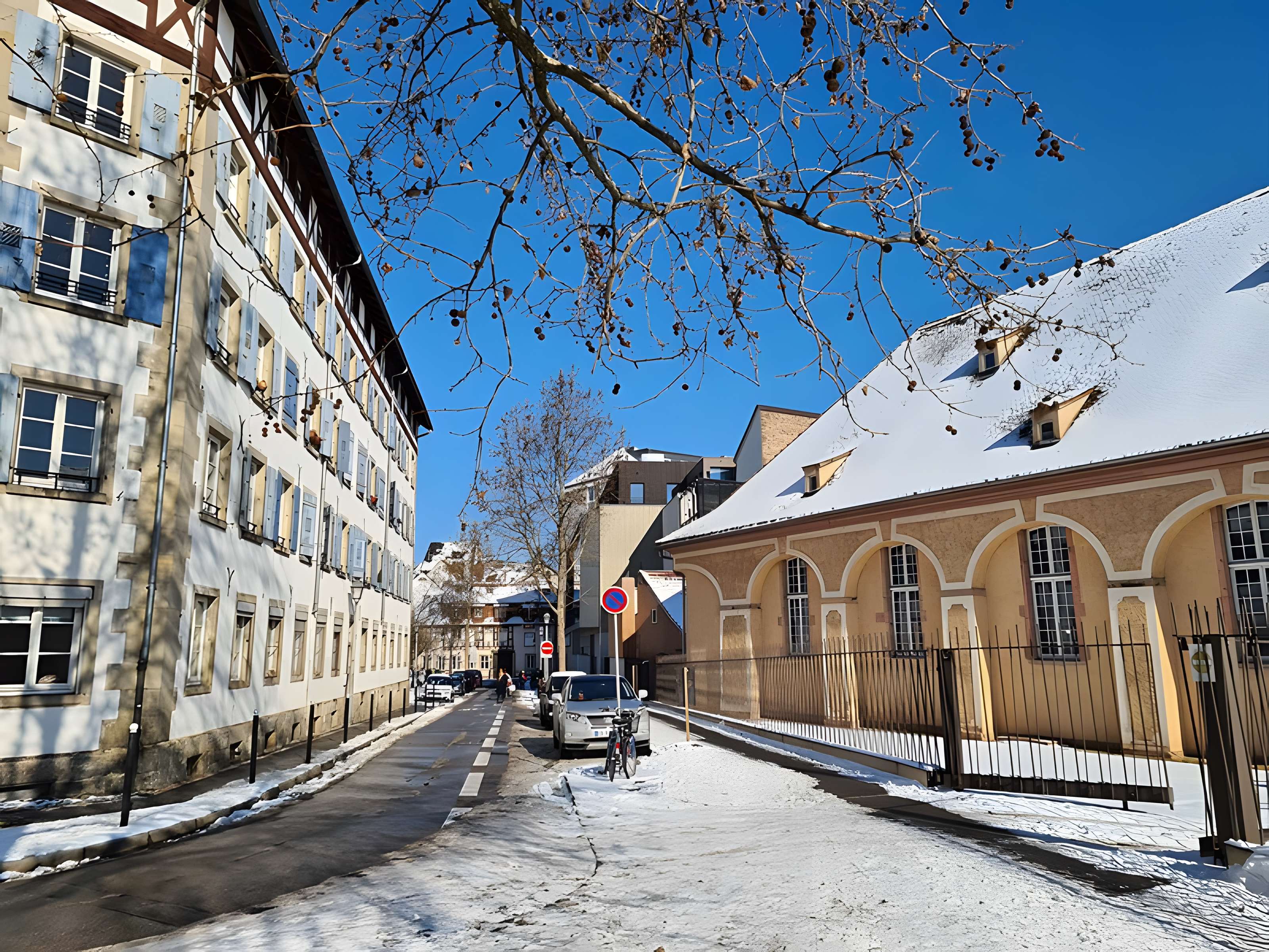 Haras national de Strasbourg