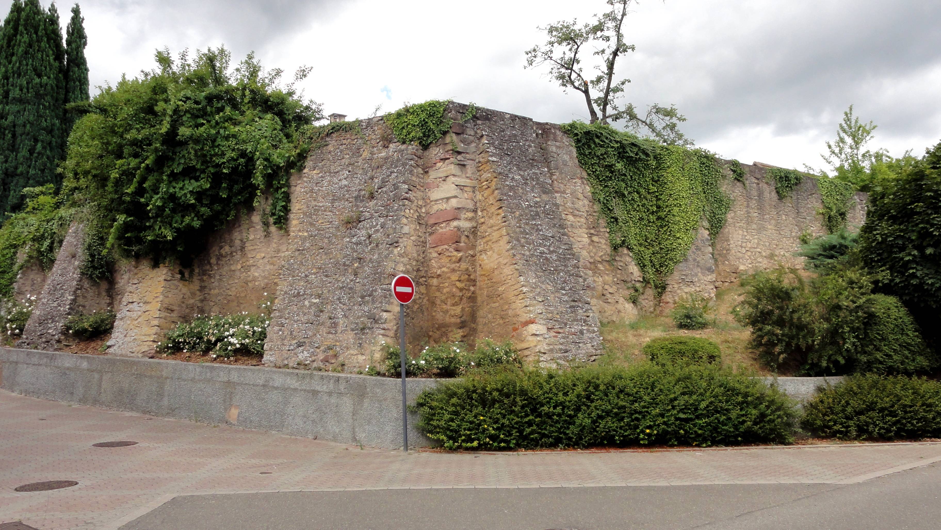 Photo de Château haut de Bischoffsheim