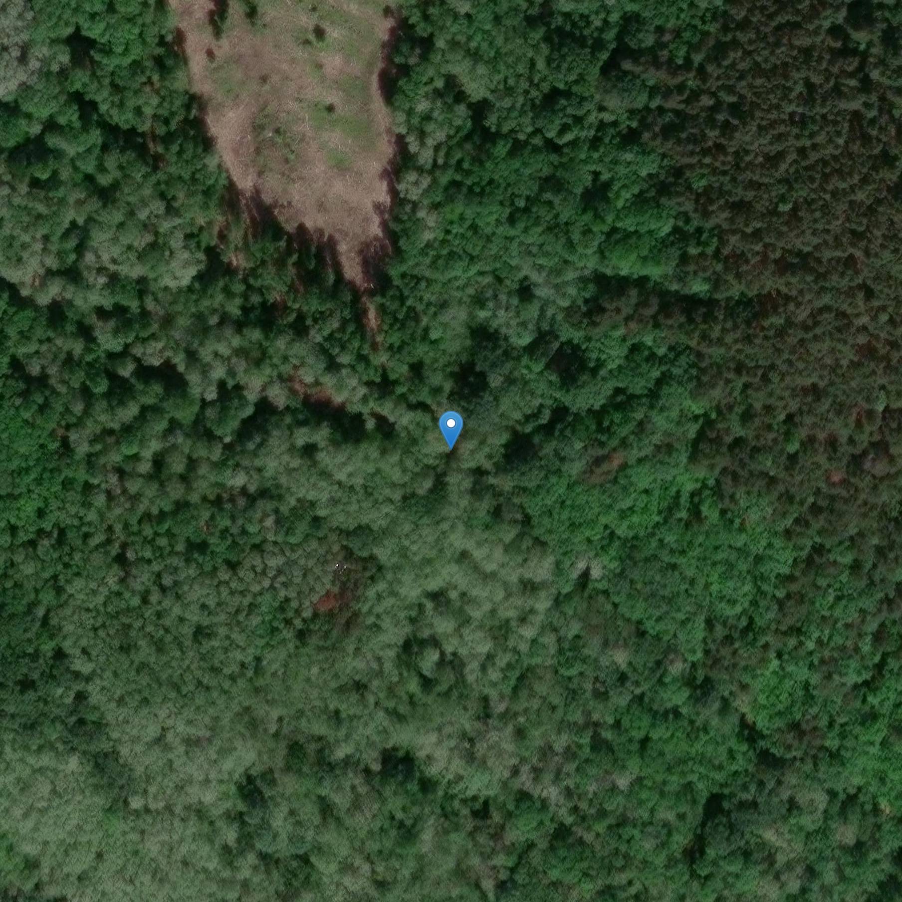 Photo de Castello di Crax