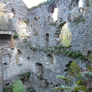 Hôpital des Anglais de Peyrusse-le-Roc