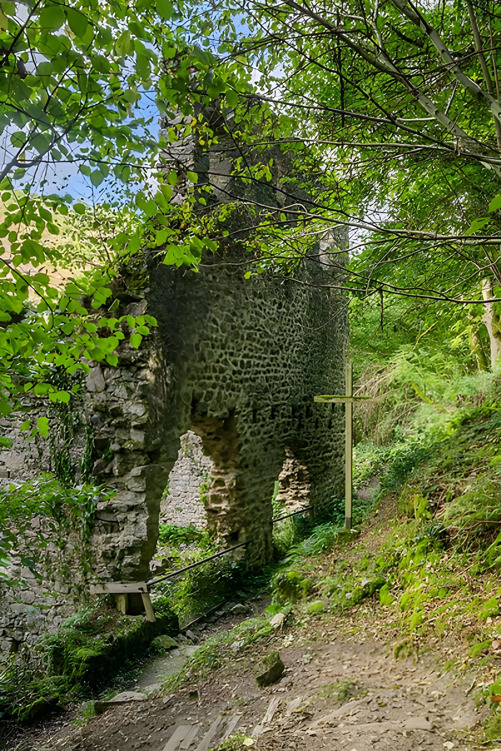 Hôpital des Anglais de Peyrusse-le-Roc