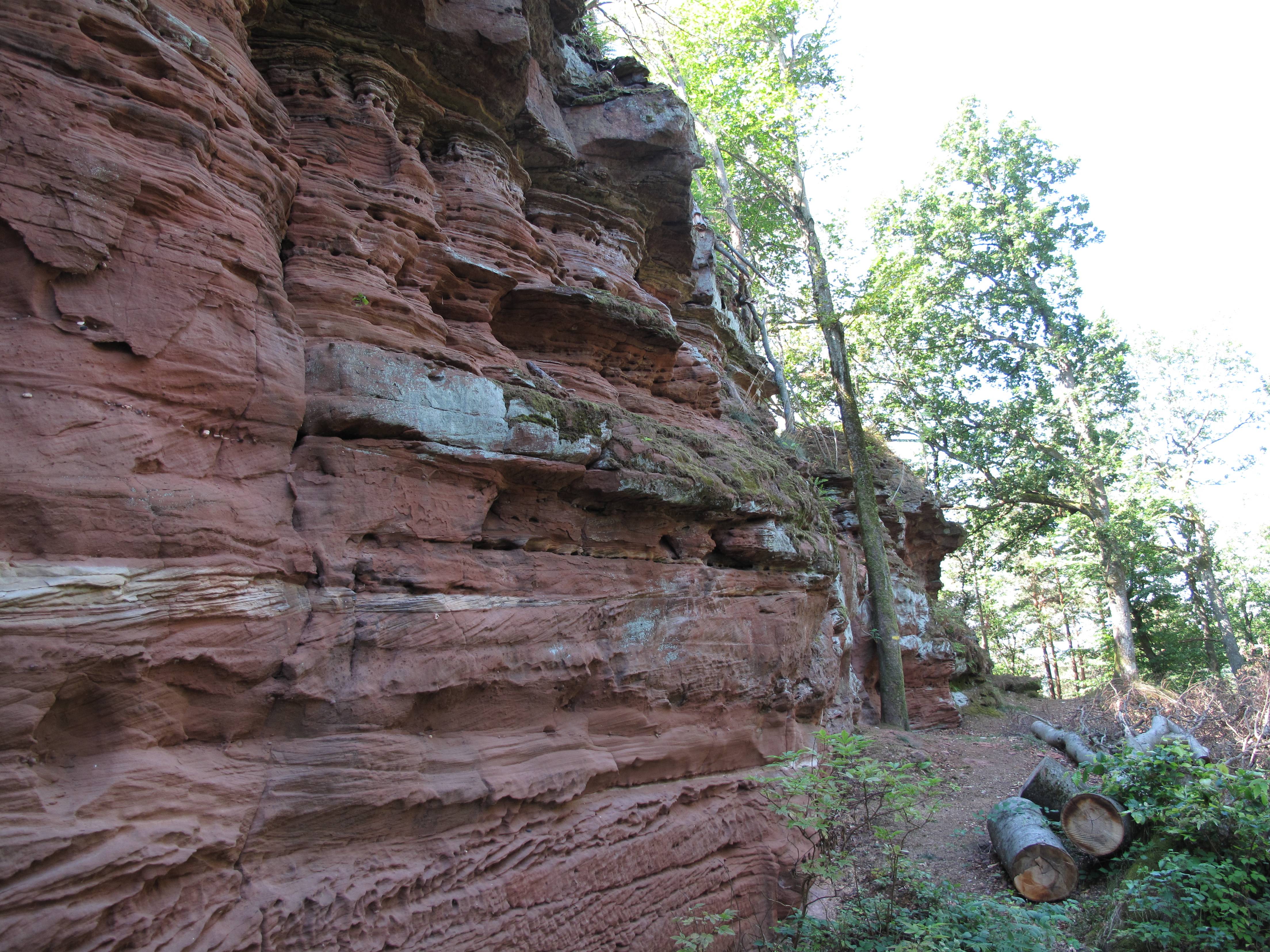 Photo de Castello di Wittschloessel
