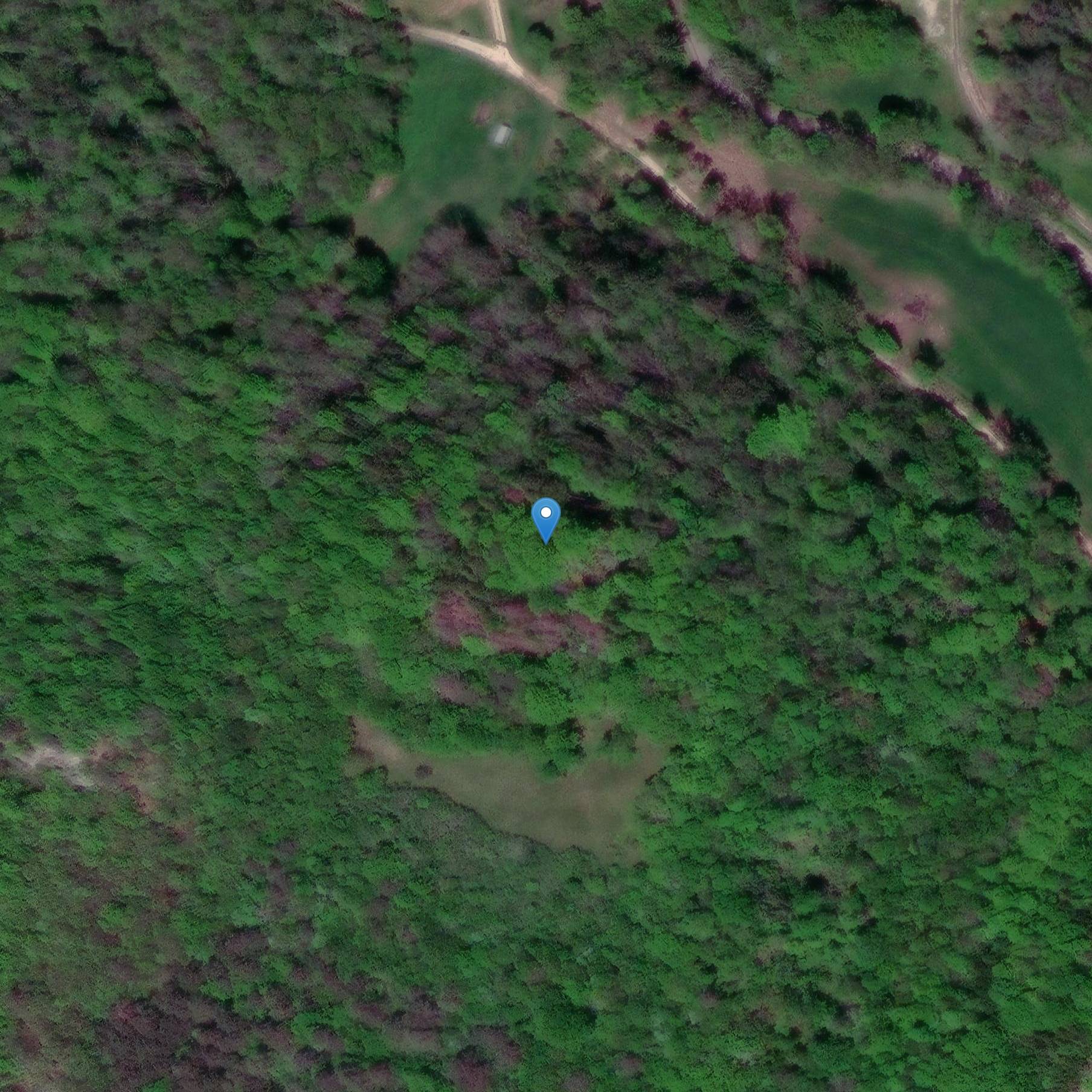 Photo de Château du Blochmont