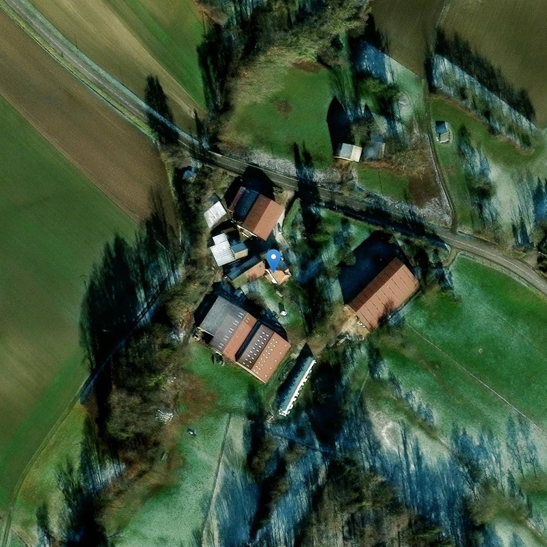 Photo de Château de Blotzheim