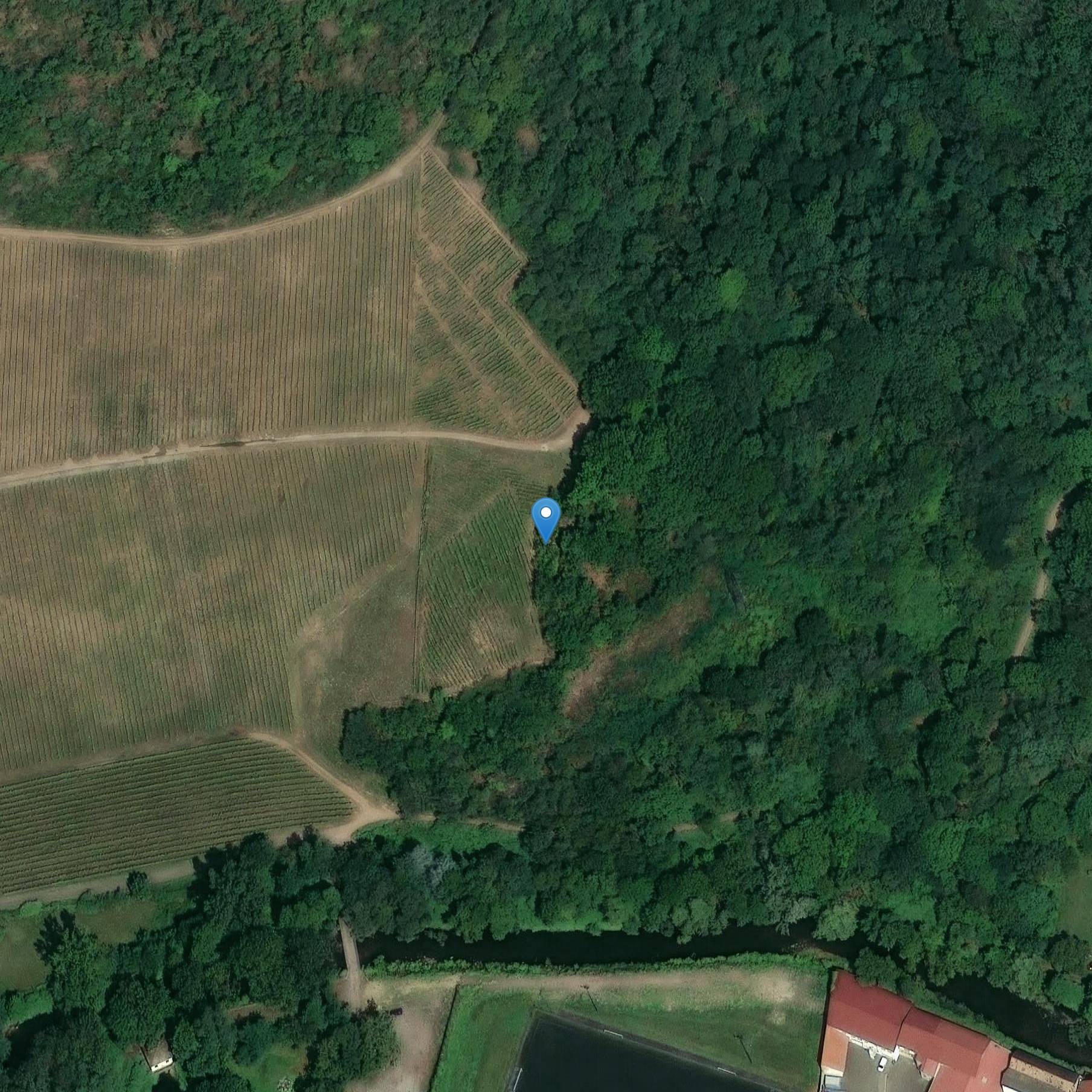 Photo de Château de Drachenfels