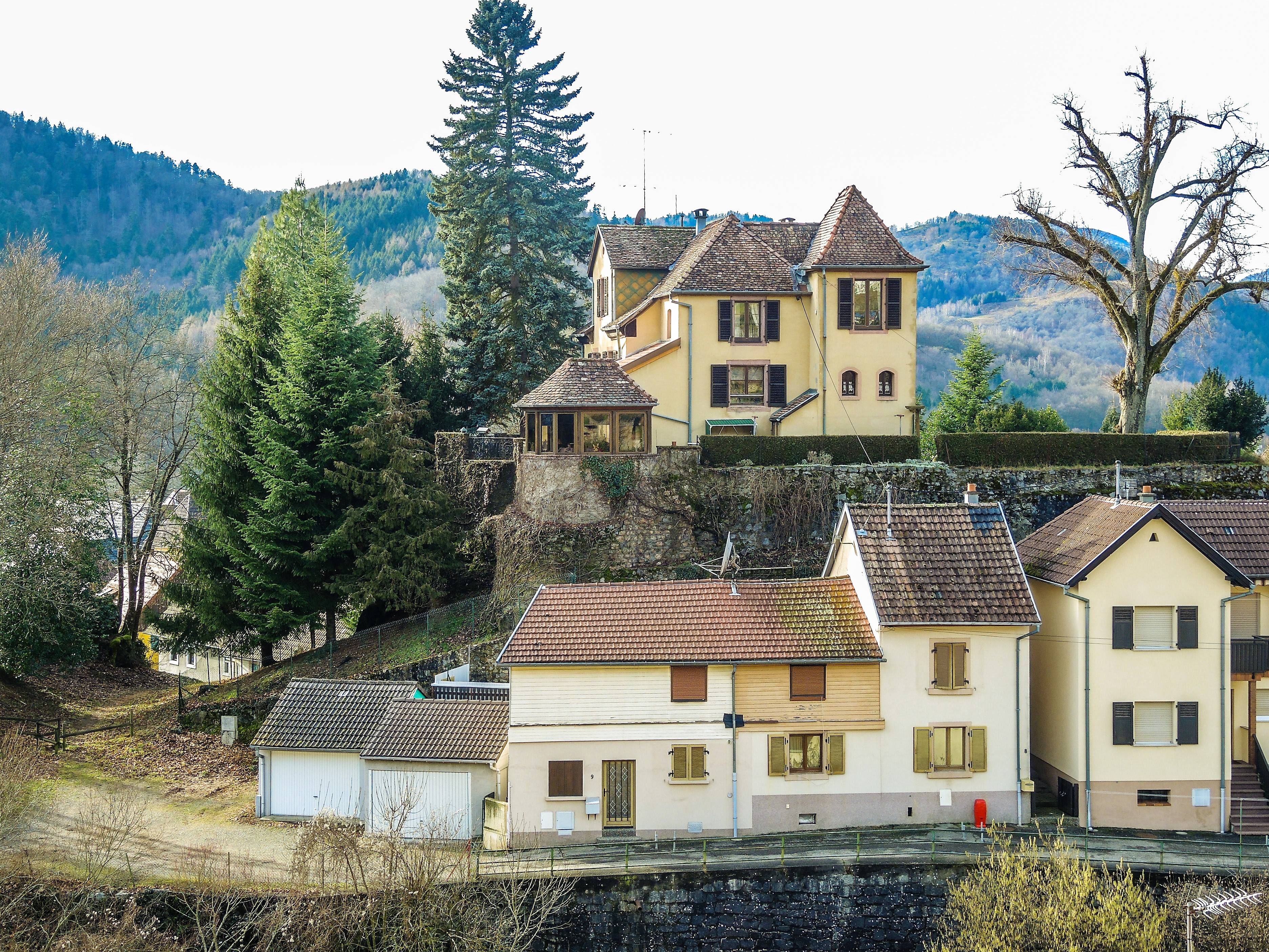 Photo de Château de Friedbourg