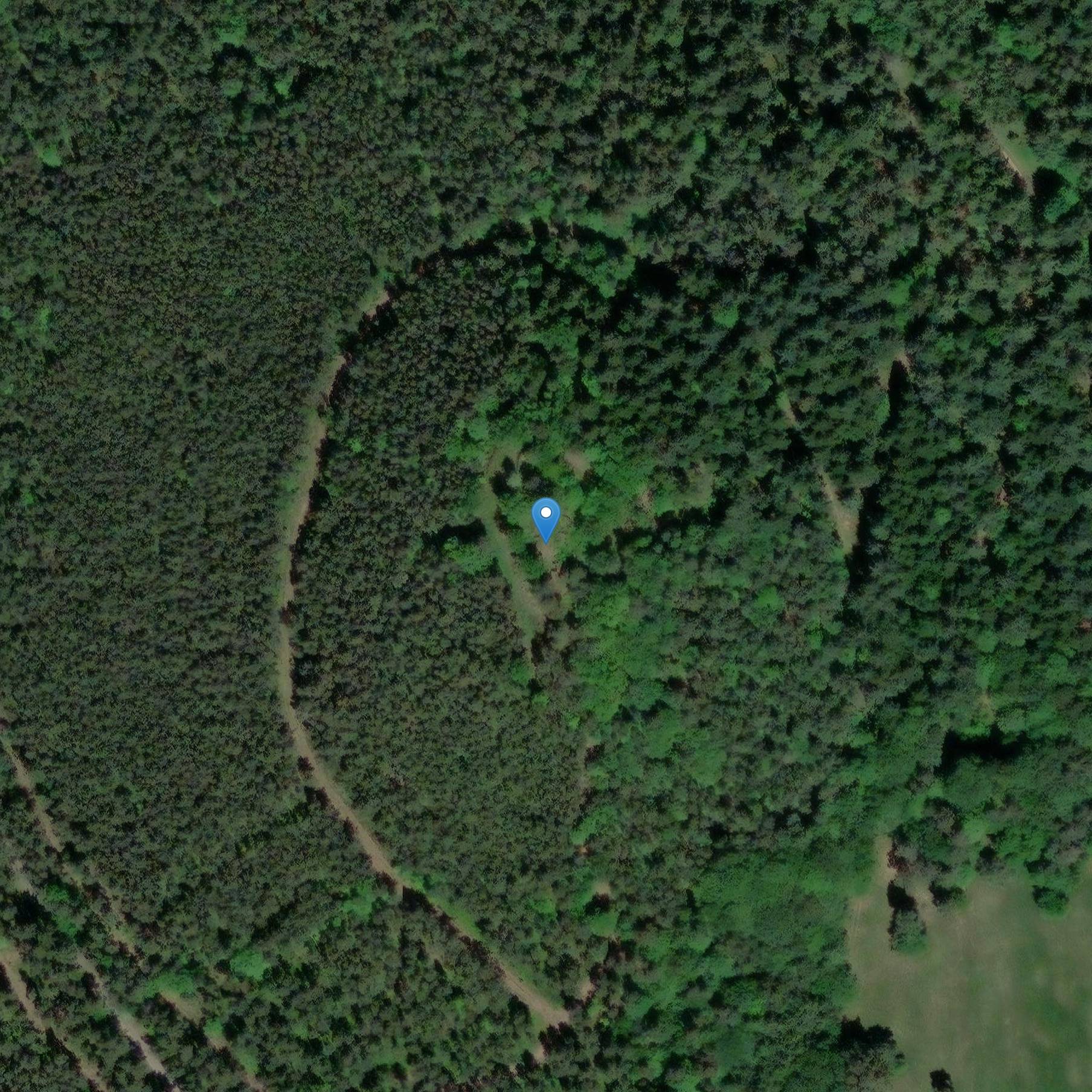 Photo de Castle of Management