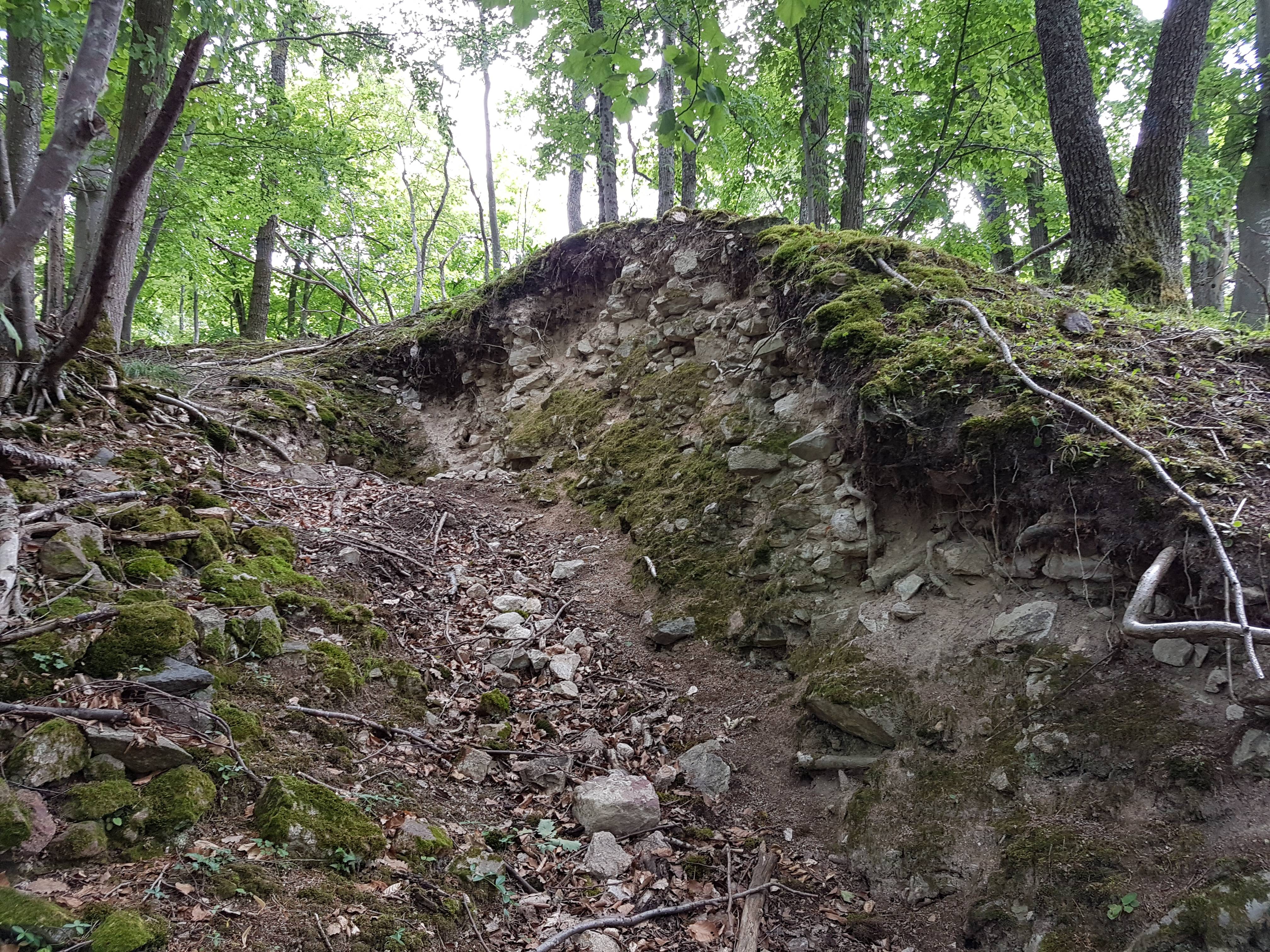 Photo de Château du Gigersbourg