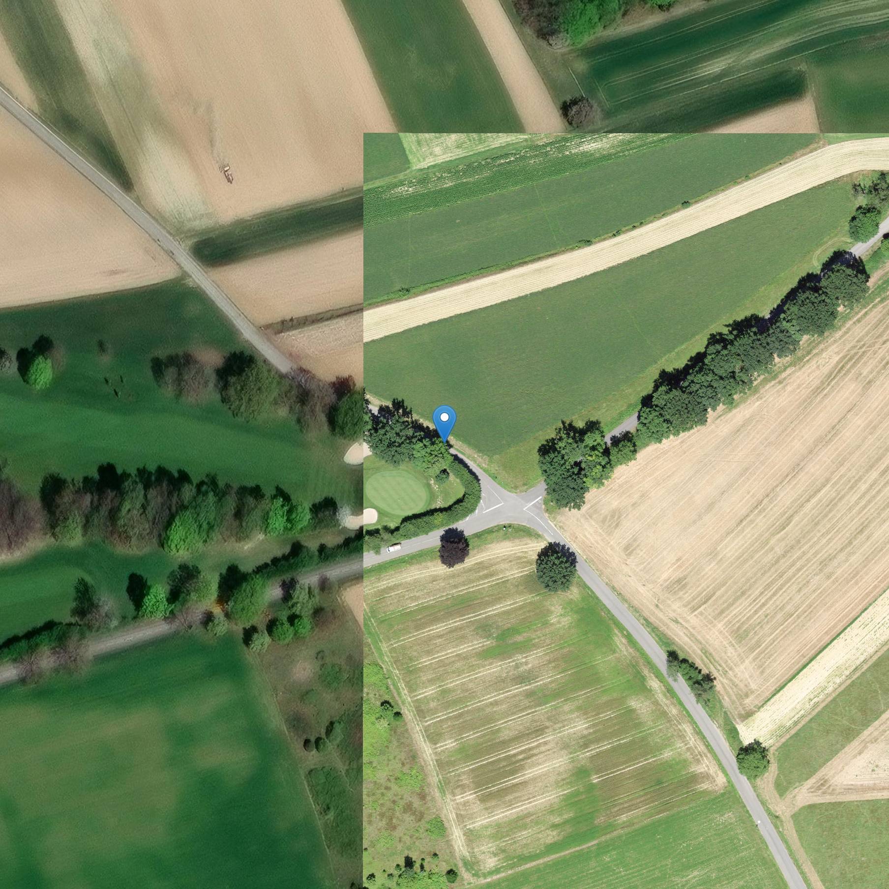 Photo de Castello di Hagenthal