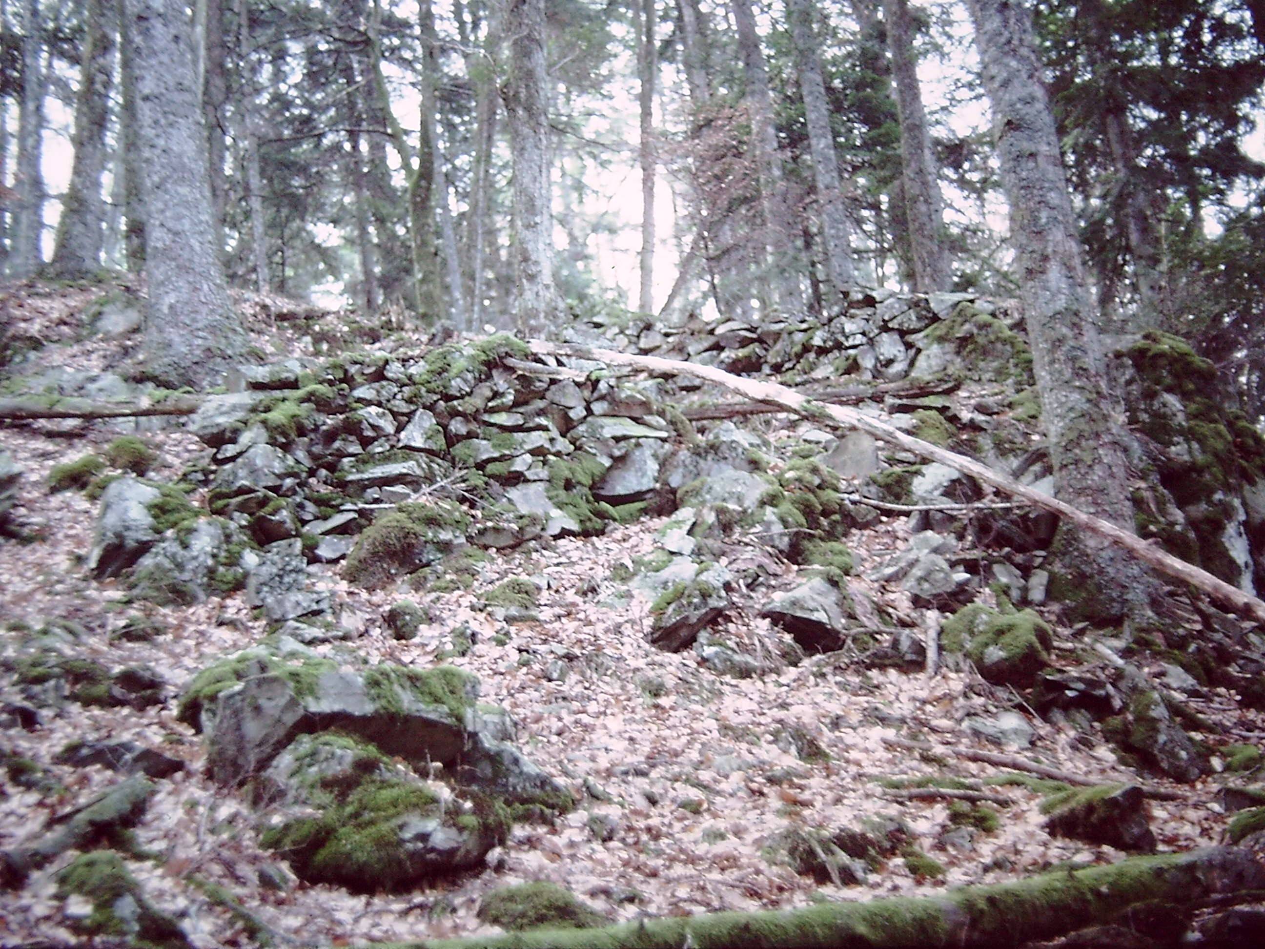 Photo de Château du Husenbourg