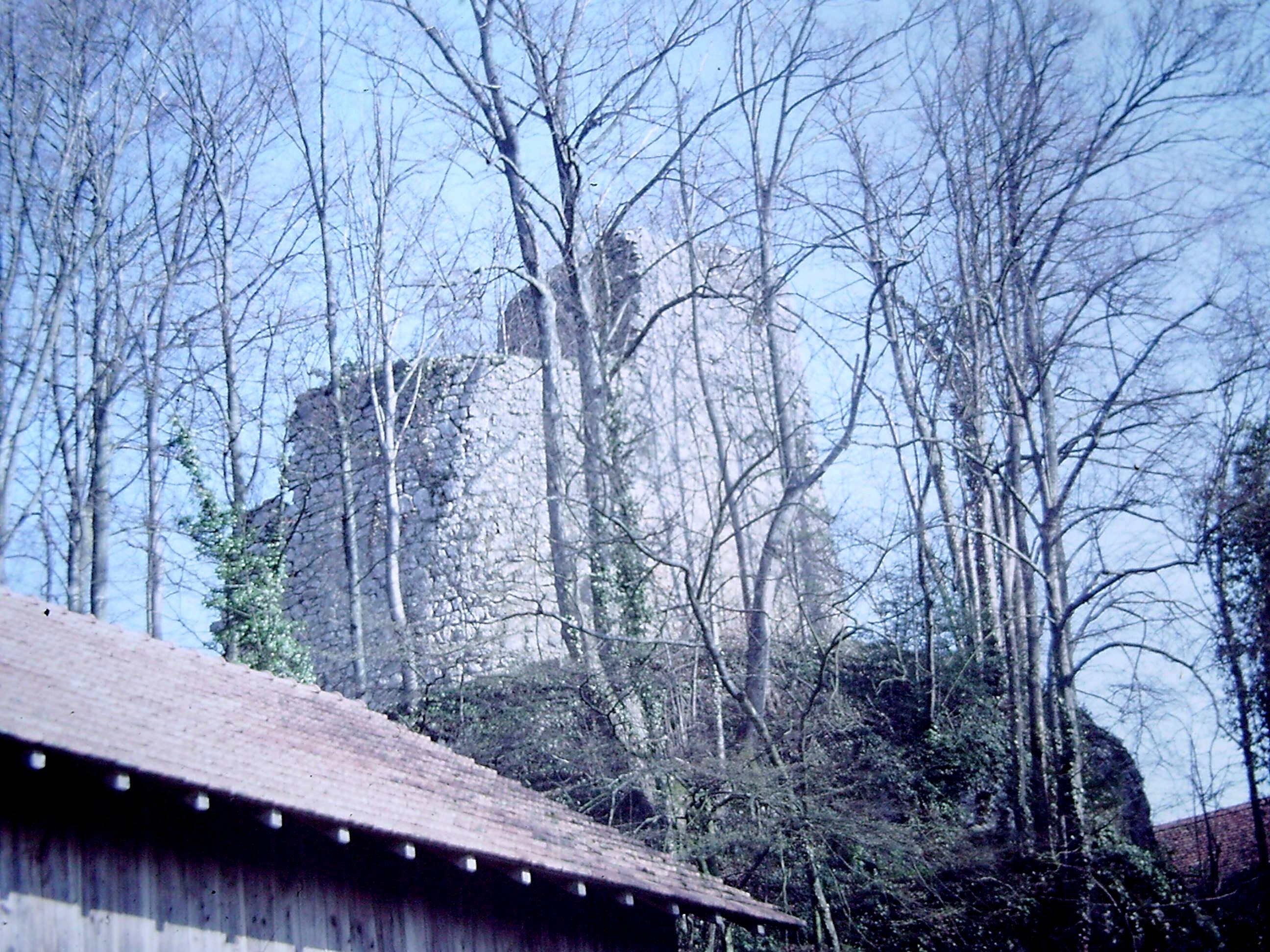 Photo de Château de Liebenstein