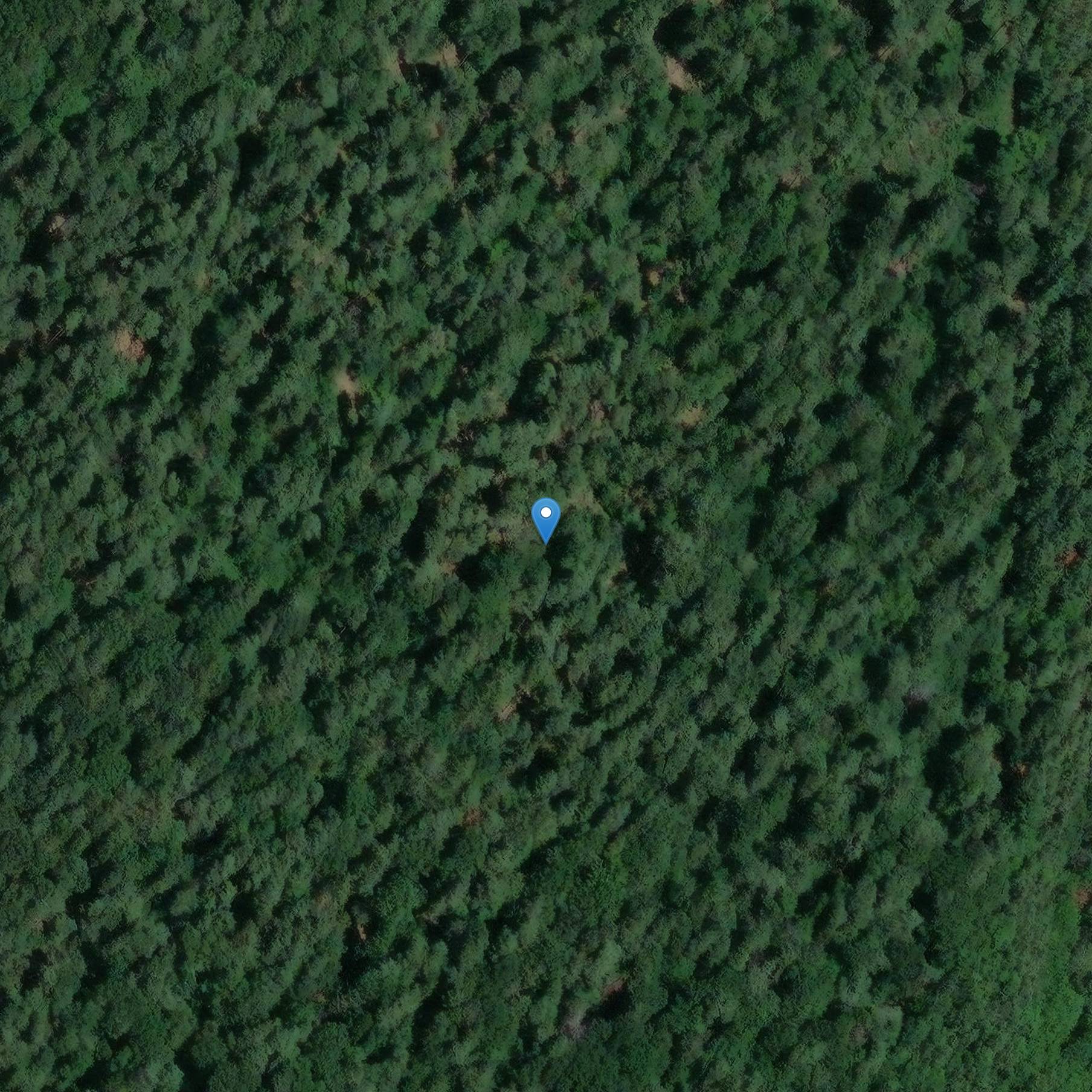 Photo de Schloss Oberlinger