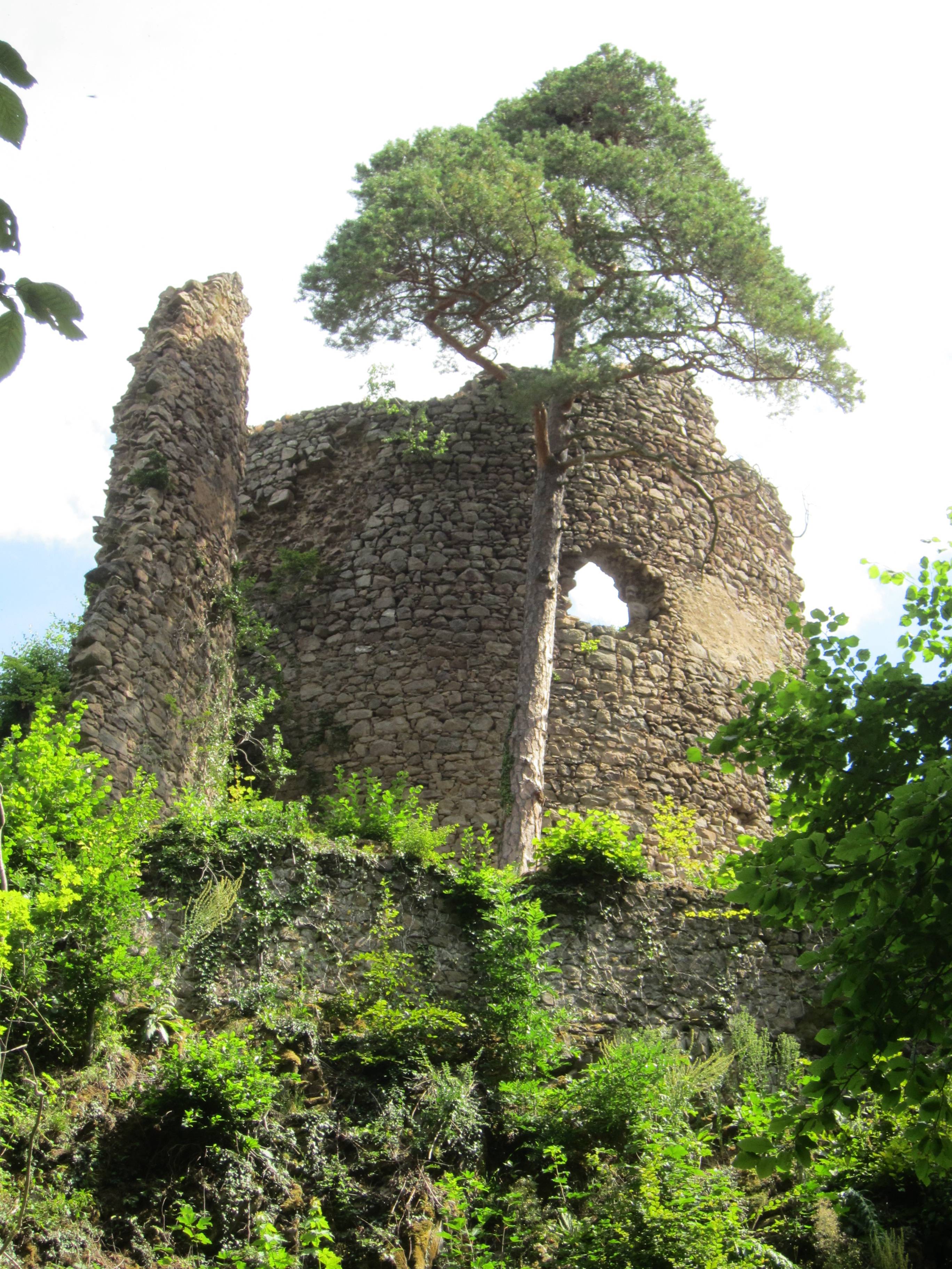 Photo de Château de Schwartzenbourg