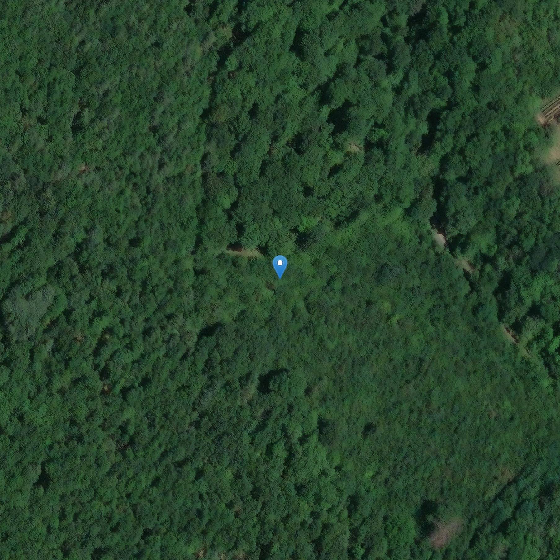 Photo de Kasteel Stettenberg