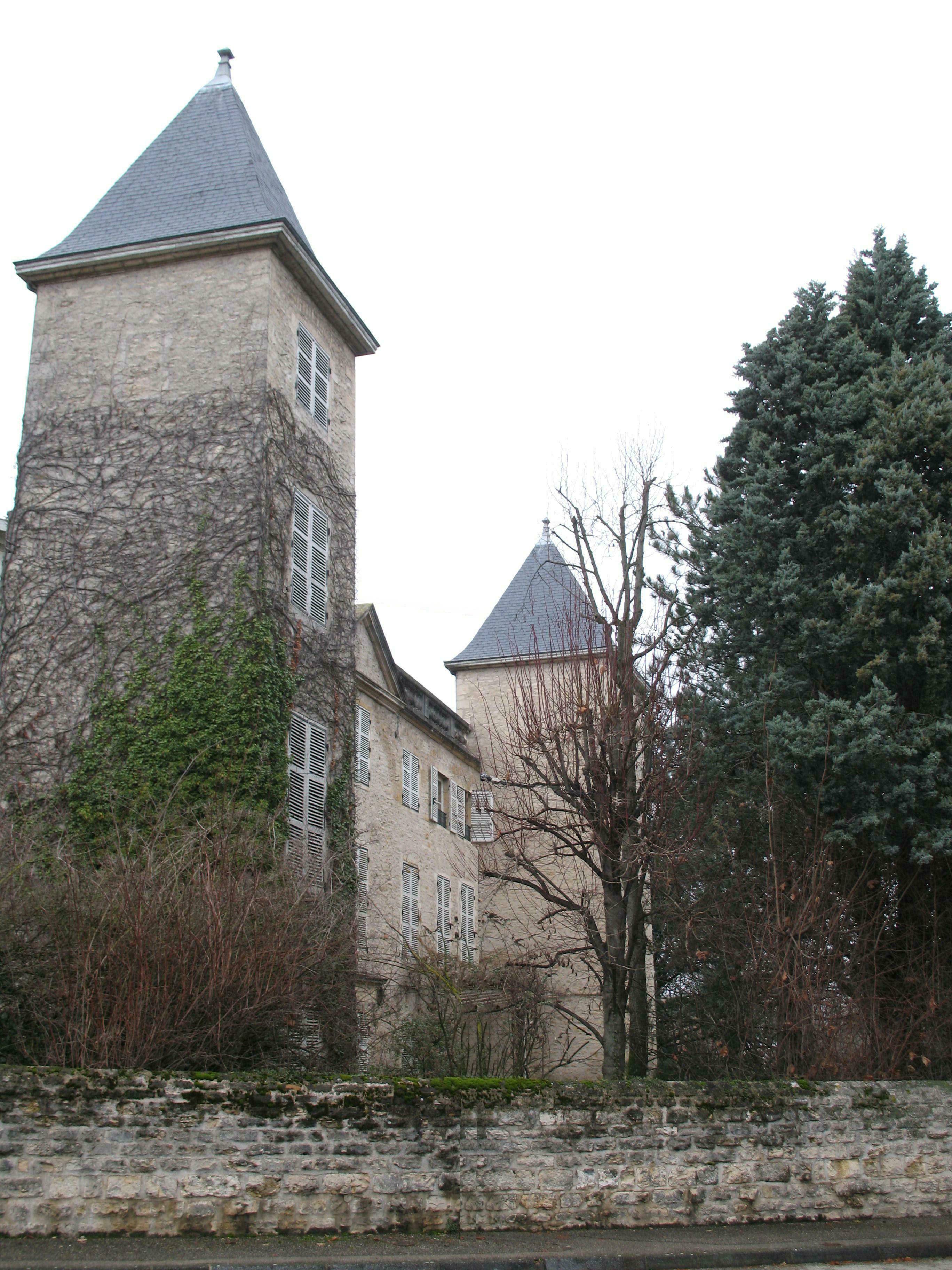 Photo de Château du Jonchay