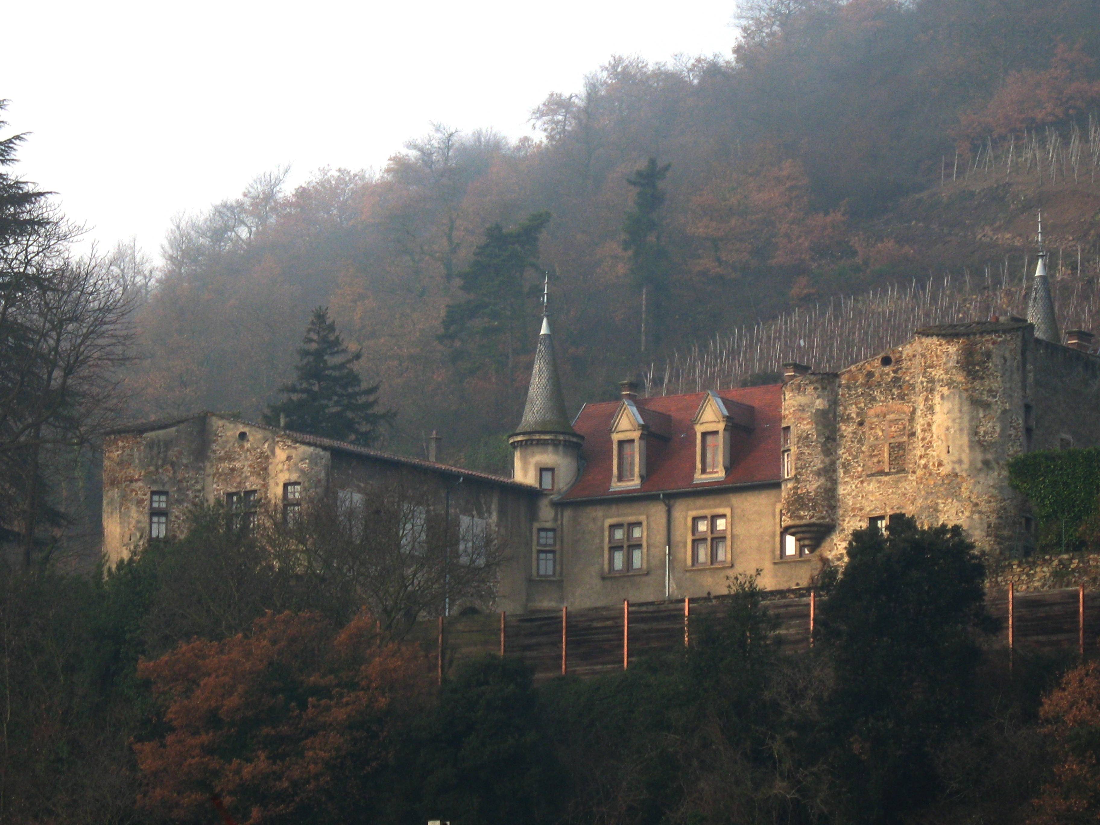 Photo de Château de Montlys