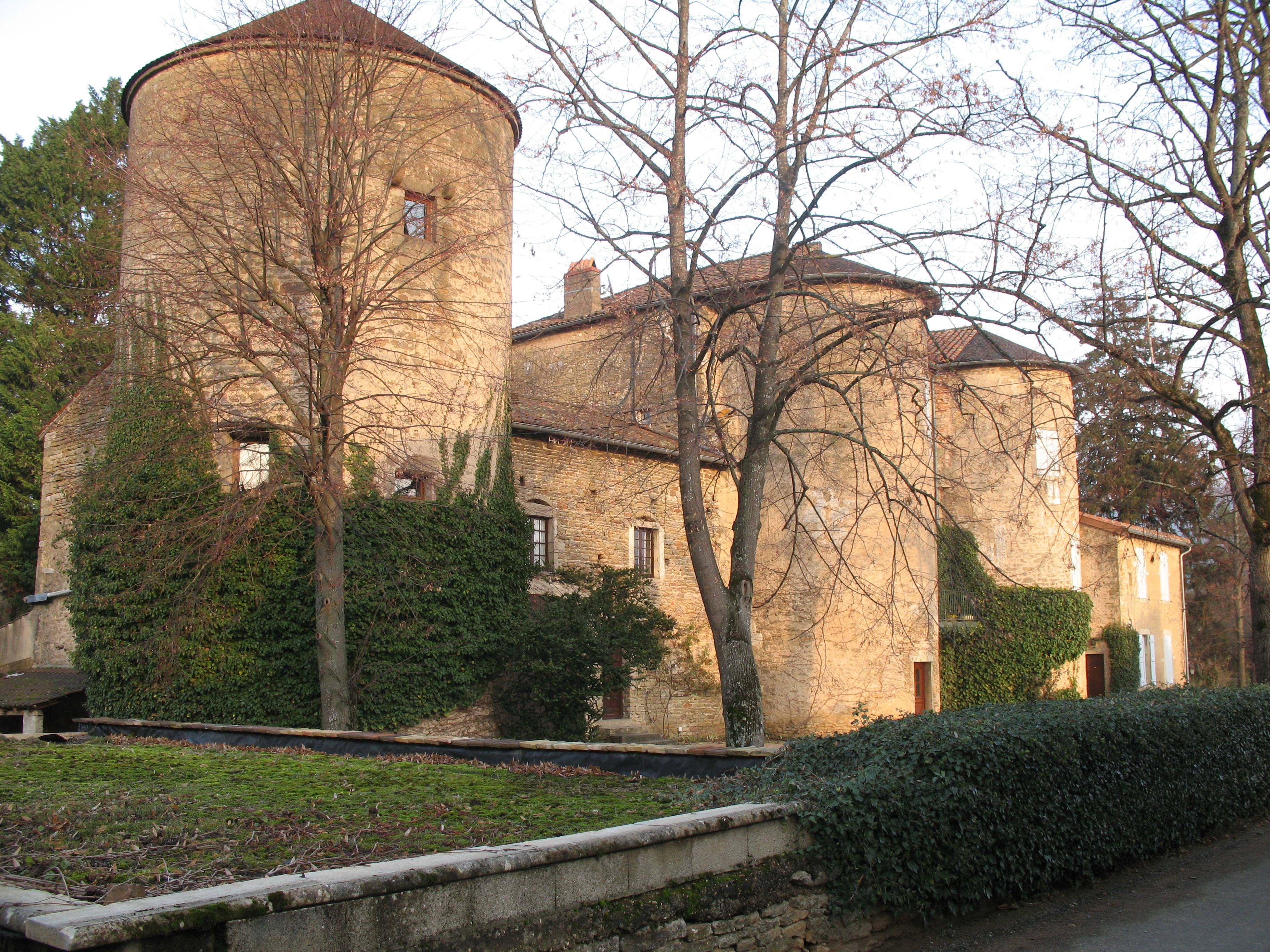 Photo de Château d'Igé