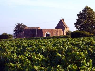 Photo de Château de Leynes