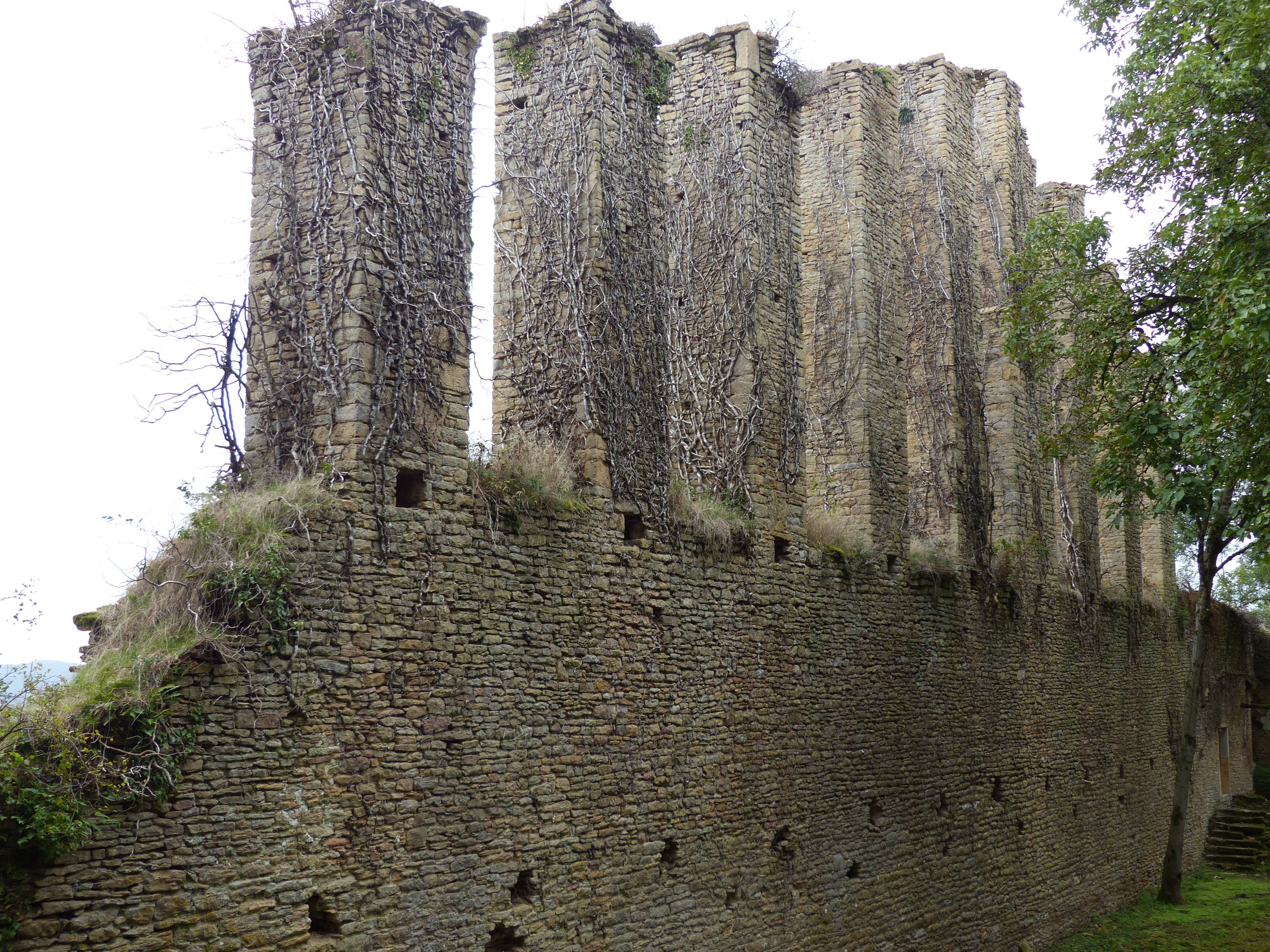 Photo de Château de Lourdon