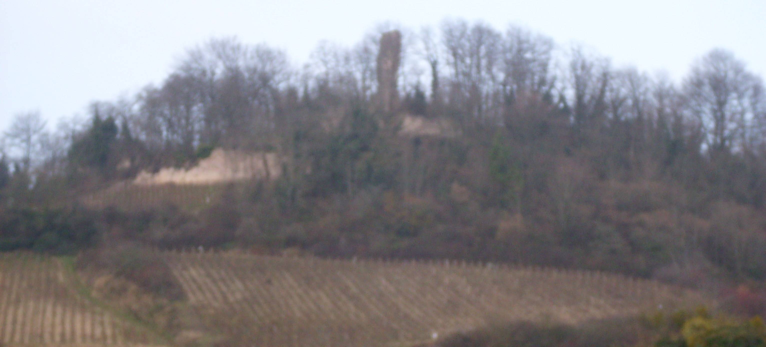 Photo de Château de Montaigu