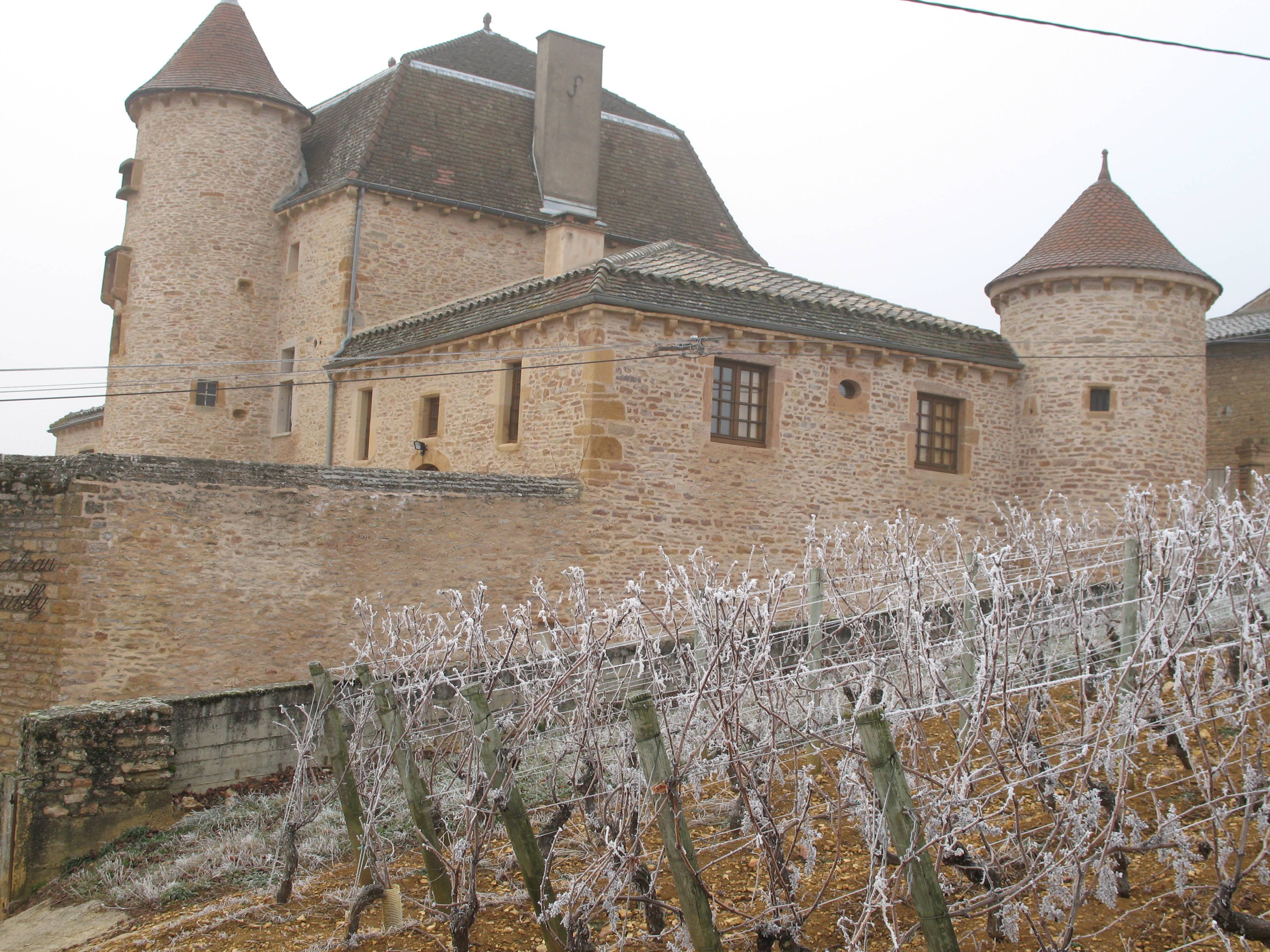 Photo de Château de Pouilly