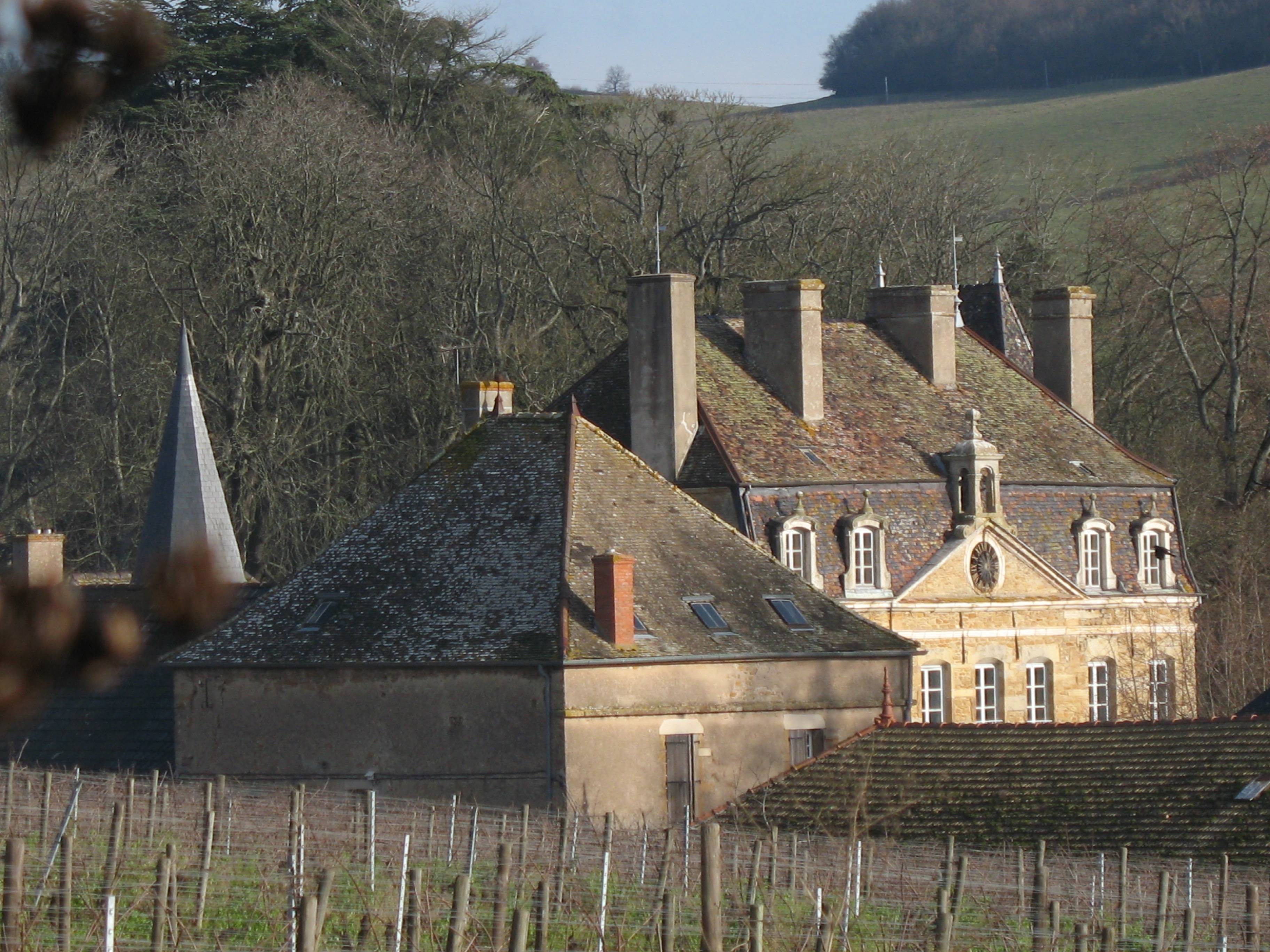 Photo de Château de Sassangy