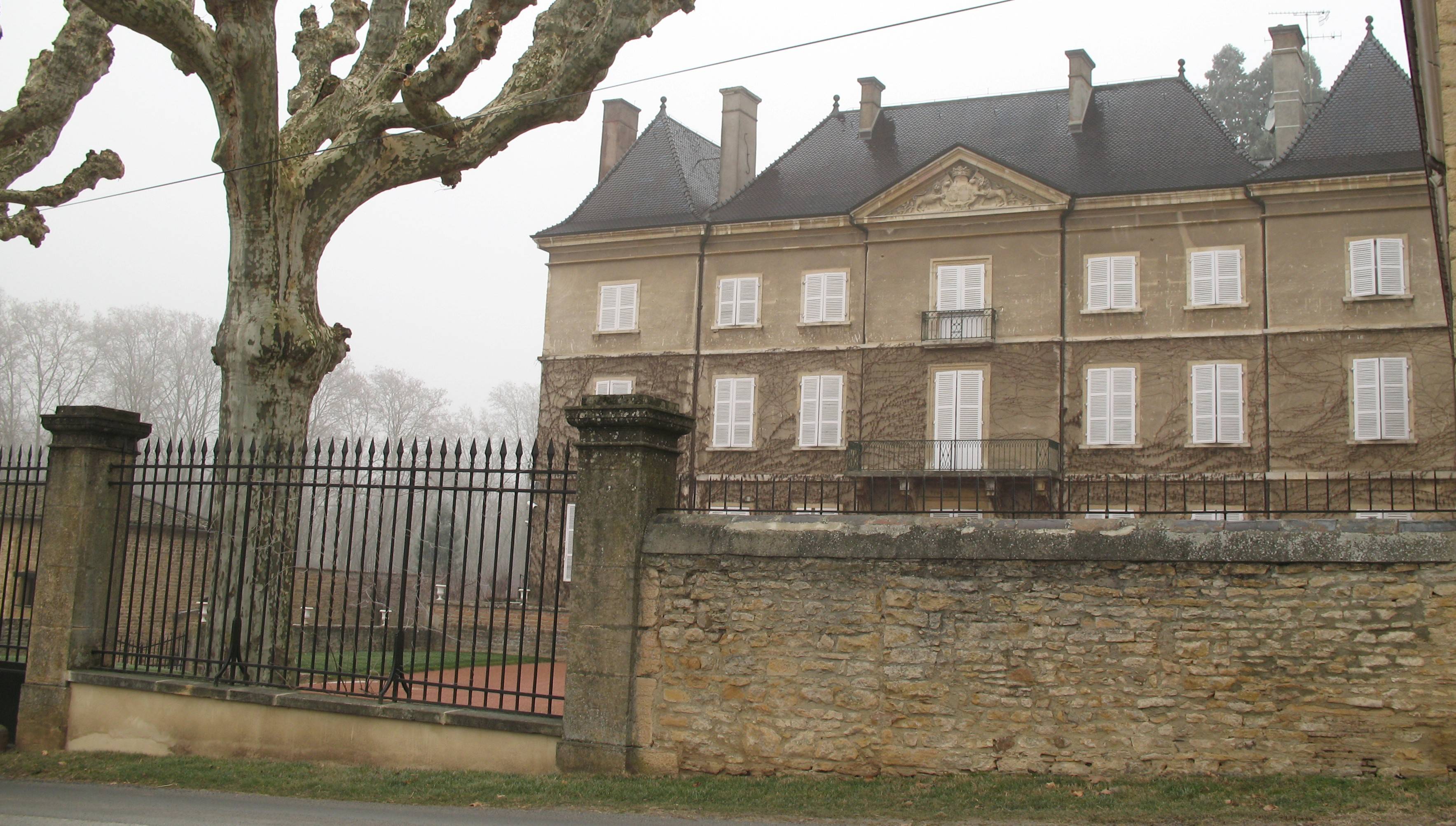 Photo de Château de Thoiriat