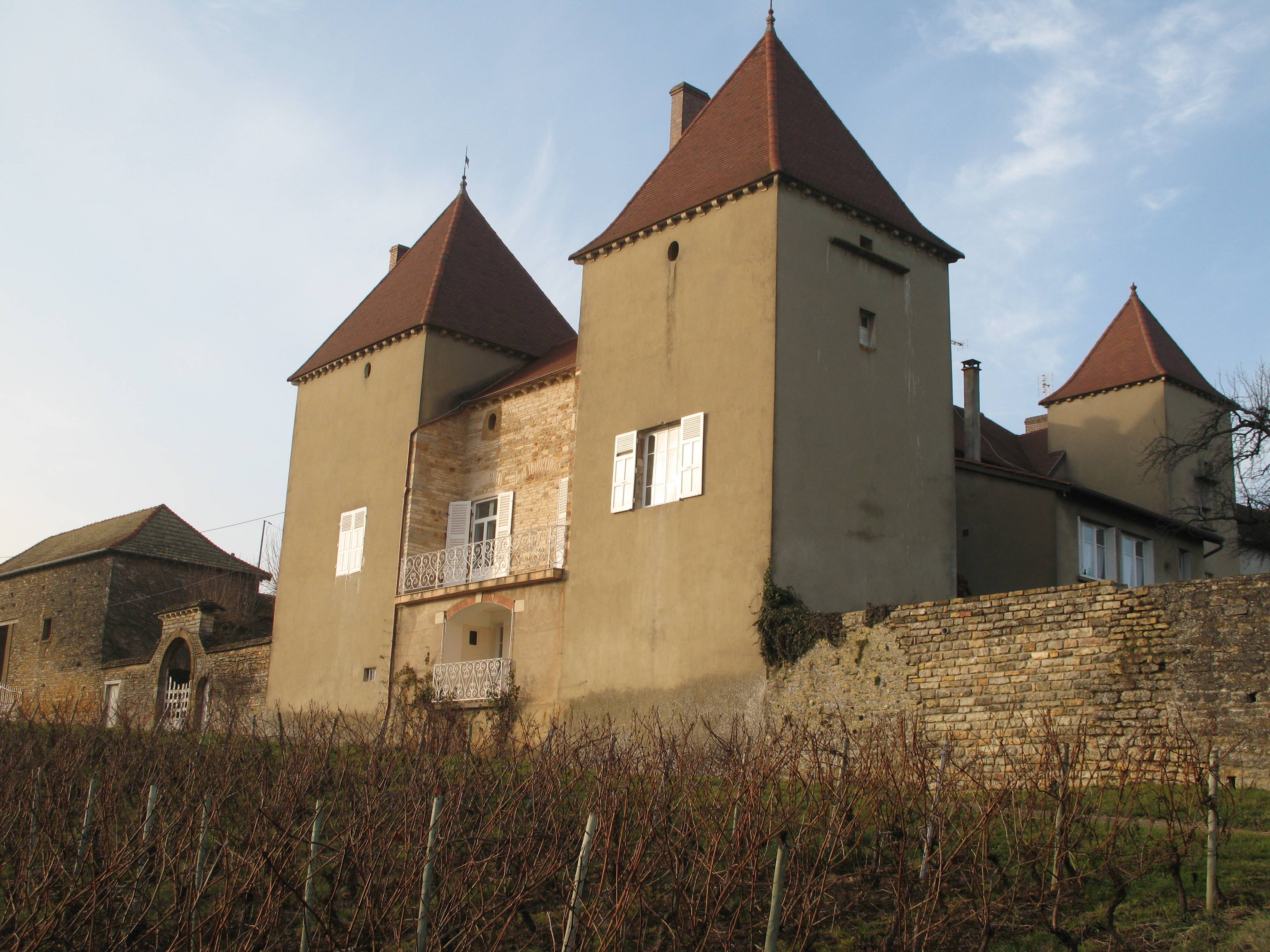 Photo de Château de la Tour-Penet
