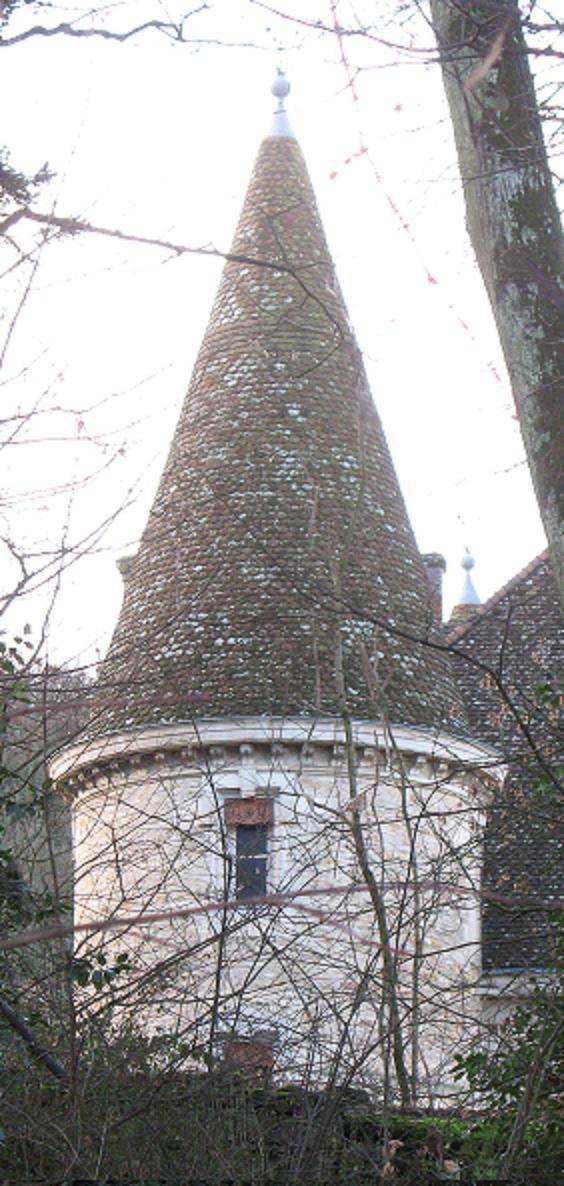 Photo de Château de Venière