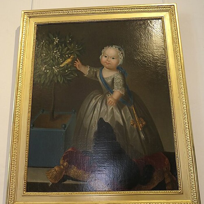 Photo de Château de Vitré