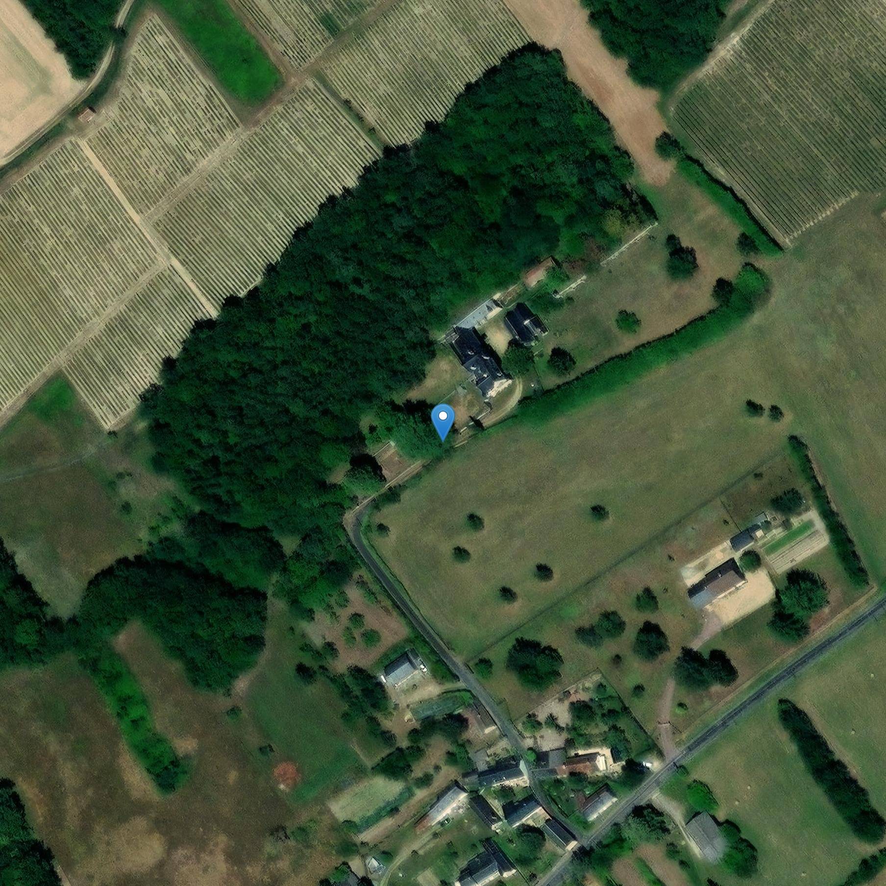 Photo de シャトー・デュ・ハウト・ラセン