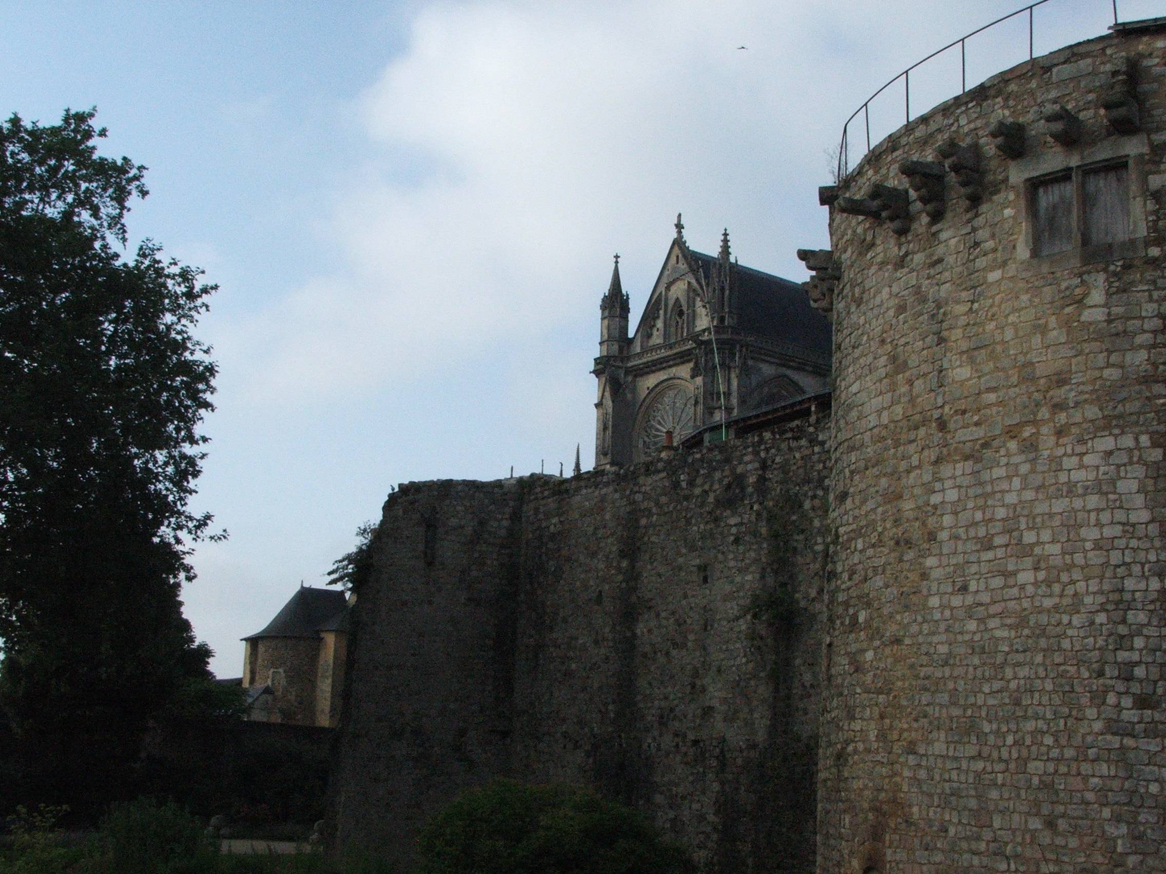 Photo de Château du Mans