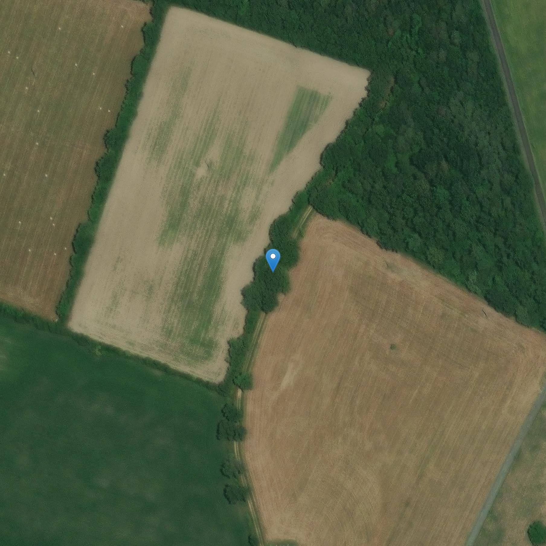 Photo de Manoir du Maurier