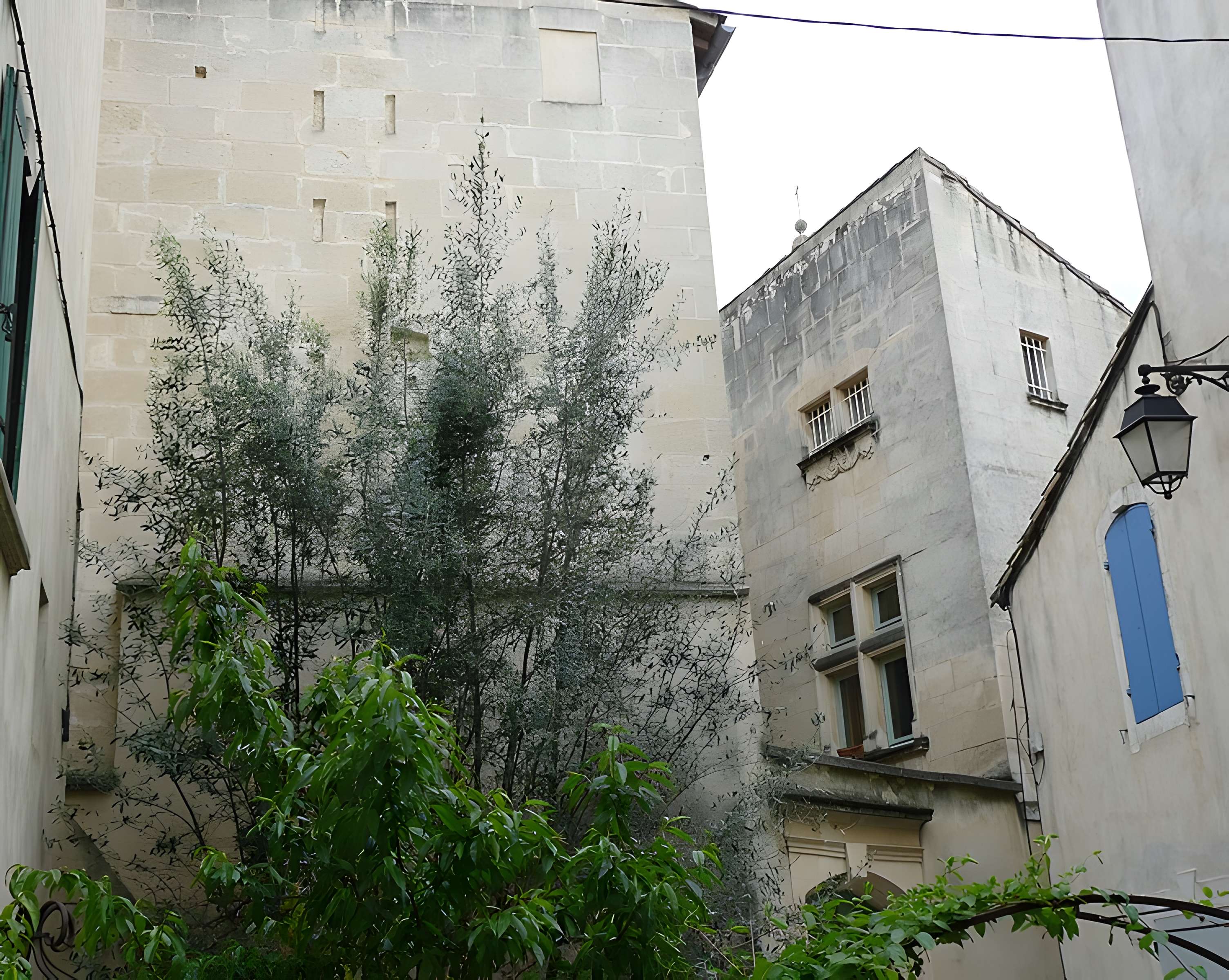 Hôtel Damian de Vinsargues à Arles